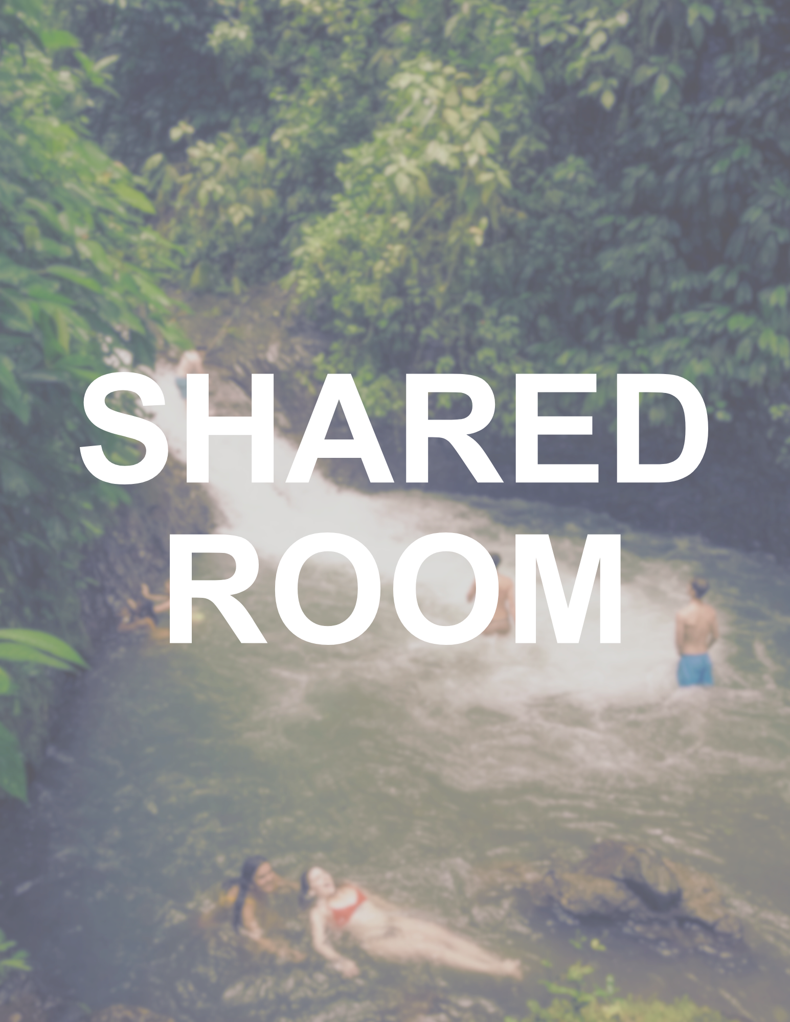 shared.png