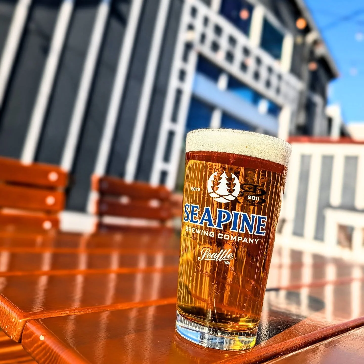 March? 🌞? Fresh Yodeling Coyote west coast ipa 🍺 brewed with amarillo &amp; chinook cryo hops on the patio? Sounds like a Sunday Funday! #seattlecraftbeer #seapinebrewing #seattlebeer