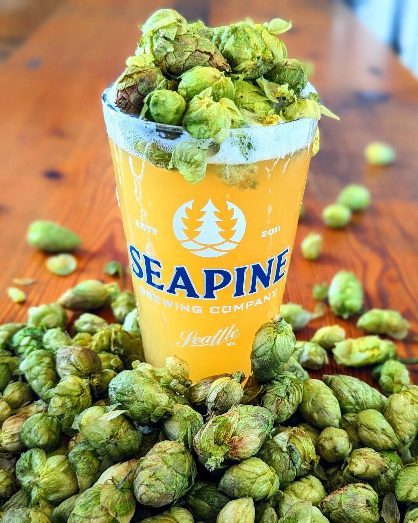 Weekend forecast: Hazy with a high chance of fresh citra hops! Enjoy fresh hop season at Seapine! #seattlecraftbeer #freshhop