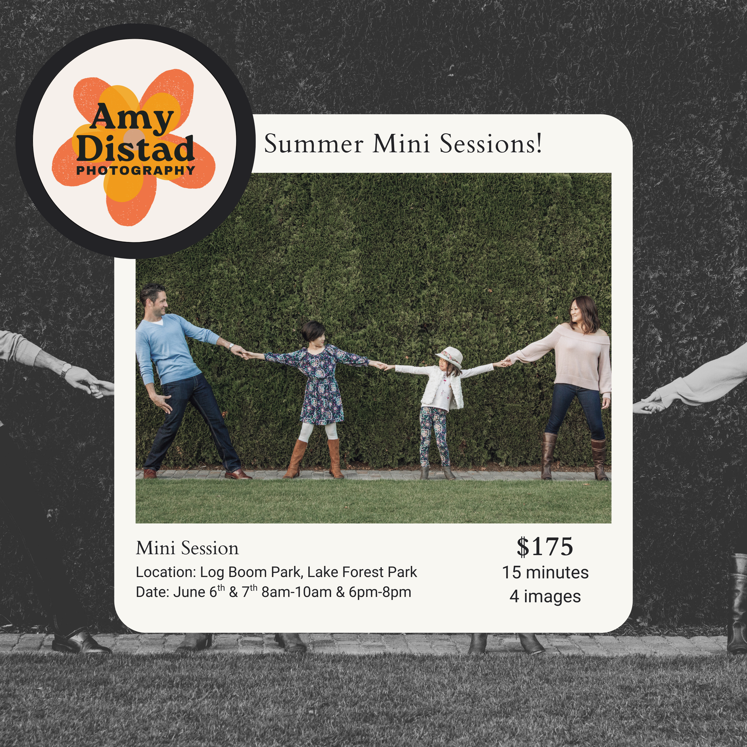 Summer Mini Sessions