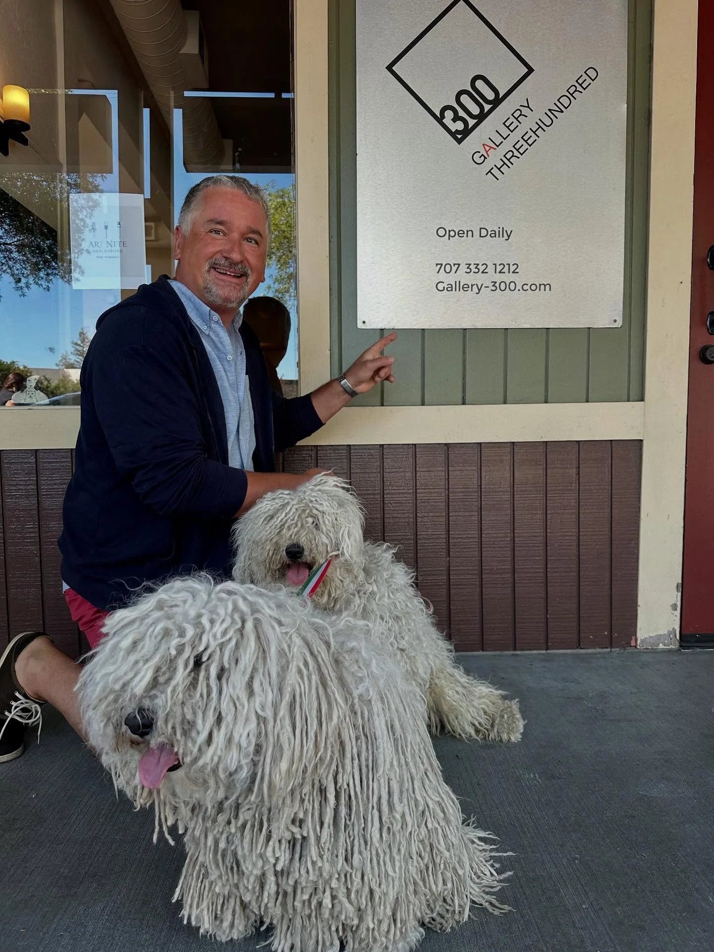 This coming Thursday, July 31, if you are out and about or want a fun evening, &nbsp;check out Healdsburg&rsquo;s Art Nite! Over 20 galleries in the downtown area will be open from 5-7 pm and restaurants offering perks if you visit 3 or more gallerie