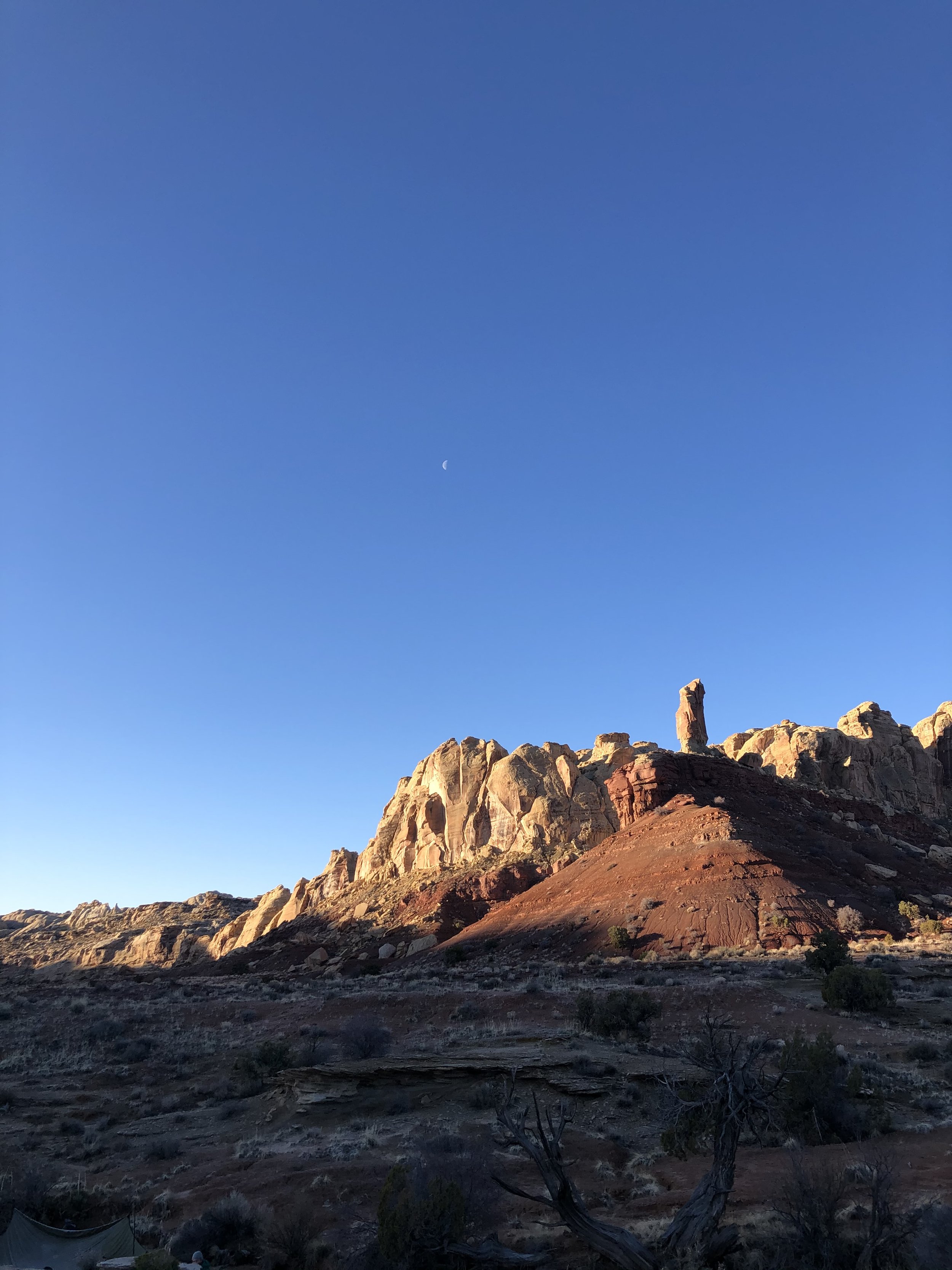 IMG_5184.jpeg