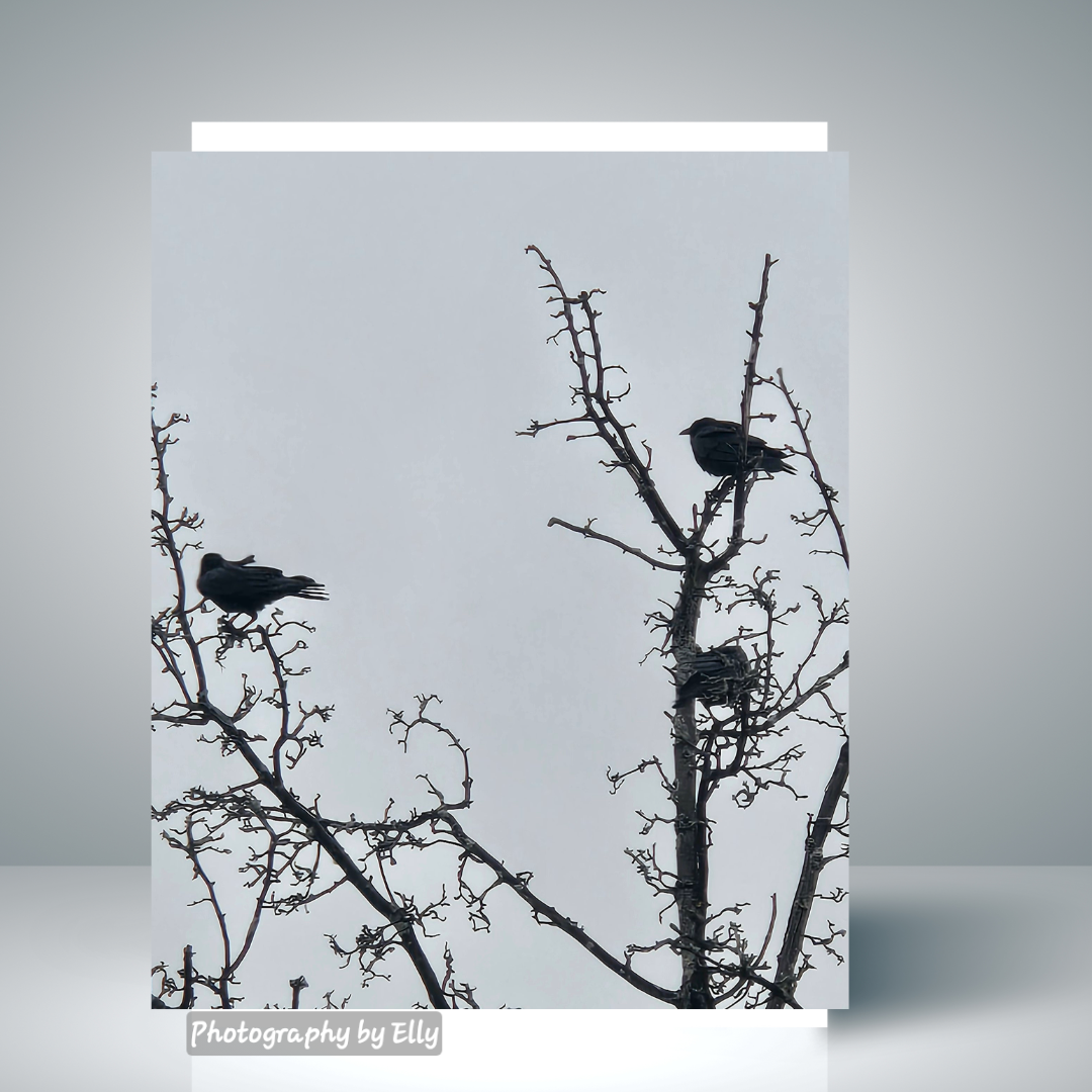 EC-Crows Messengers from the Heavens- April 05, 2025 at 21.54.42.png