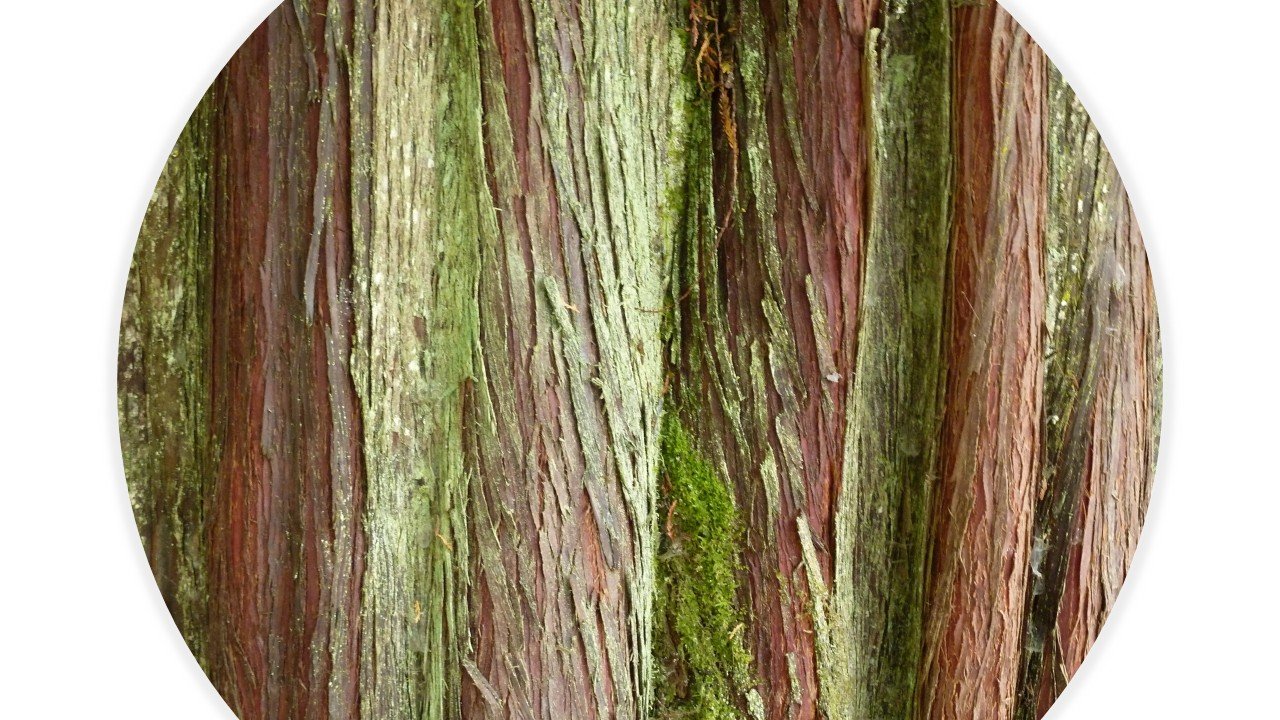 Photo of people working