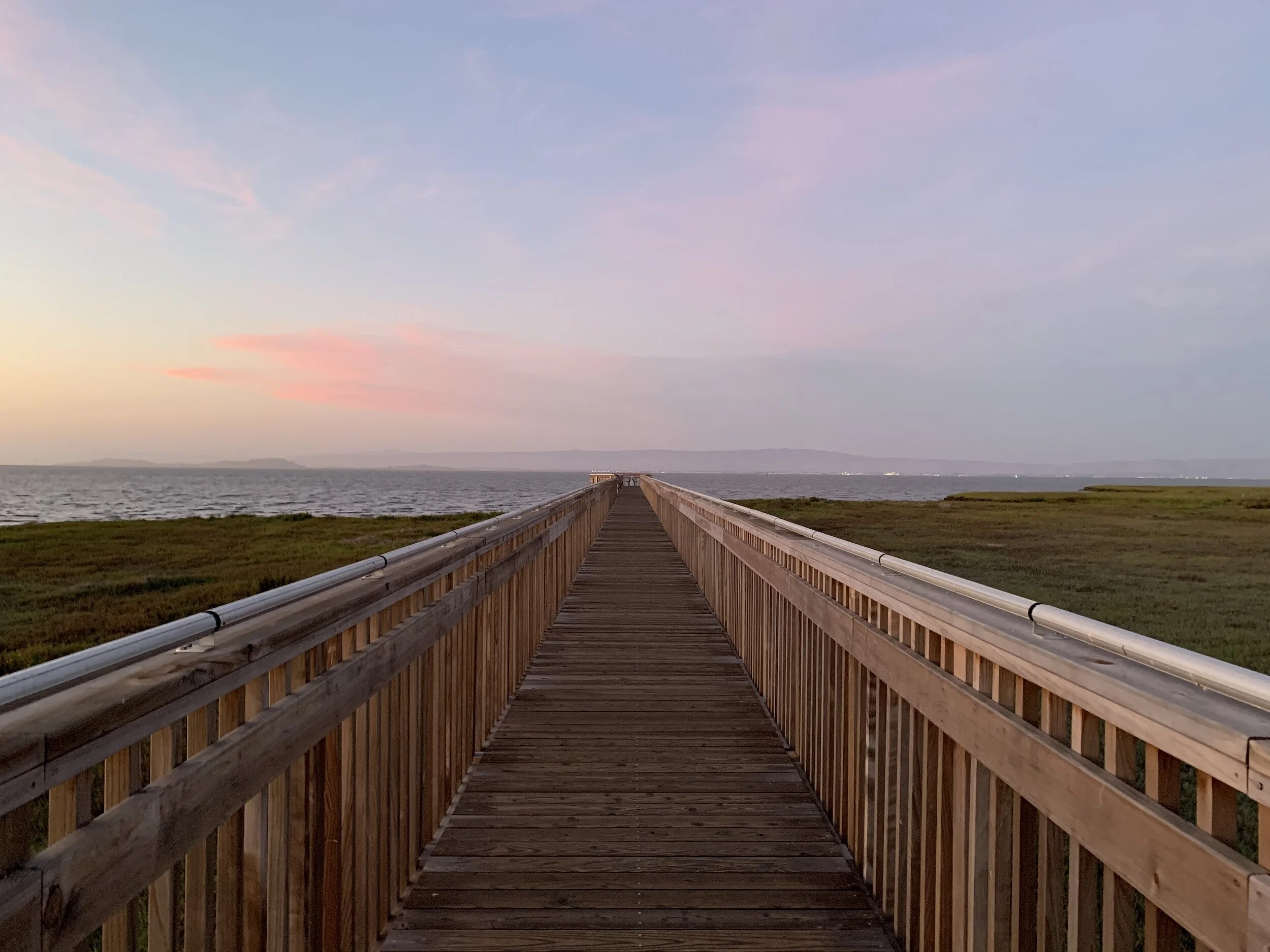 Boardwalk through the Baylands wetlands near North Bayshore