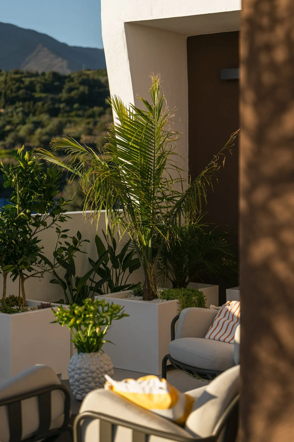 Outdoor terrace featuring modern white planters with palm and citrus trees.