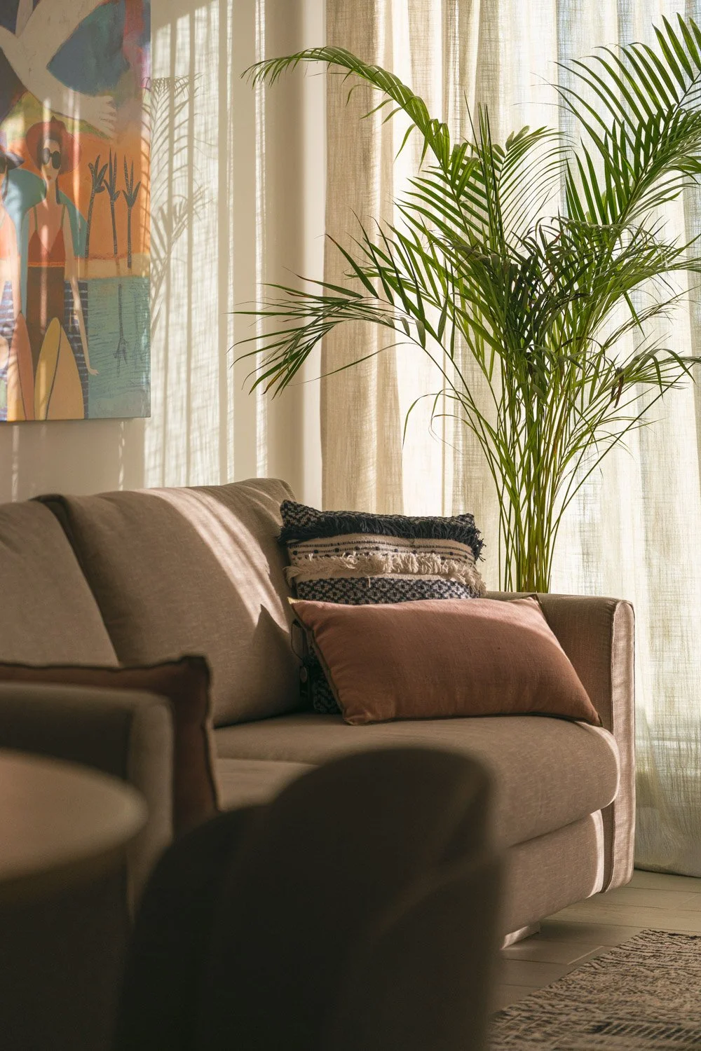 Cozy living room sofa with decorative pillows next to an indoor palm.