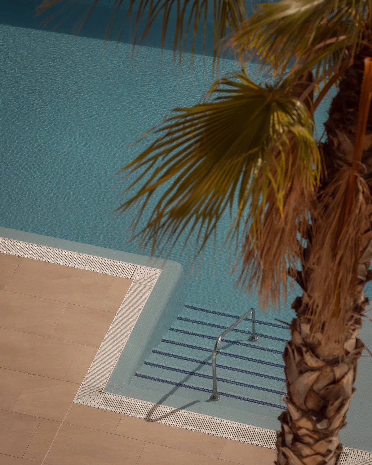 Luxury swimming pool detail with blue mosaic steps and palm leaves.