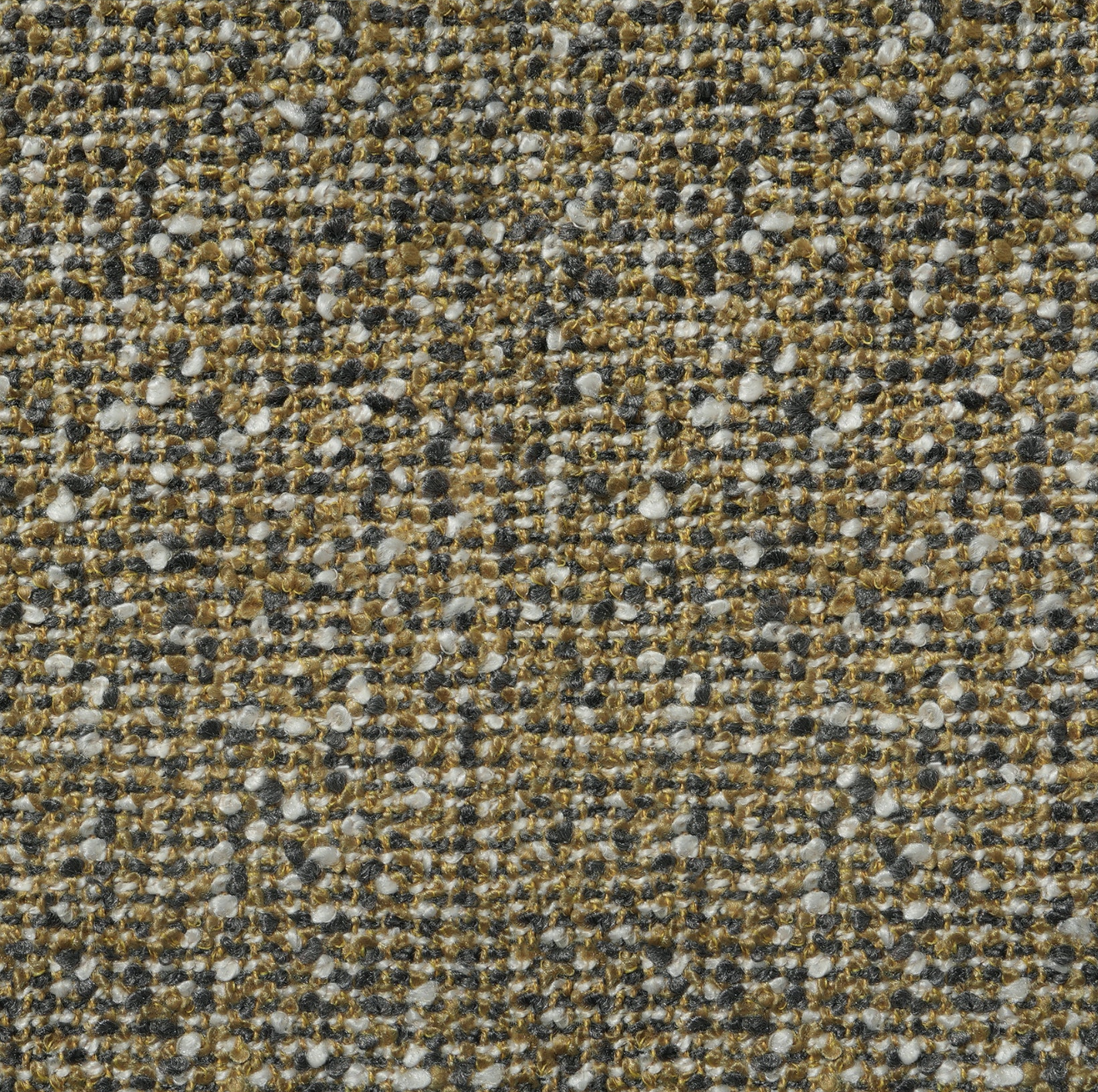 Screenshot 2025-04-10 at 2.11.28 PM.png