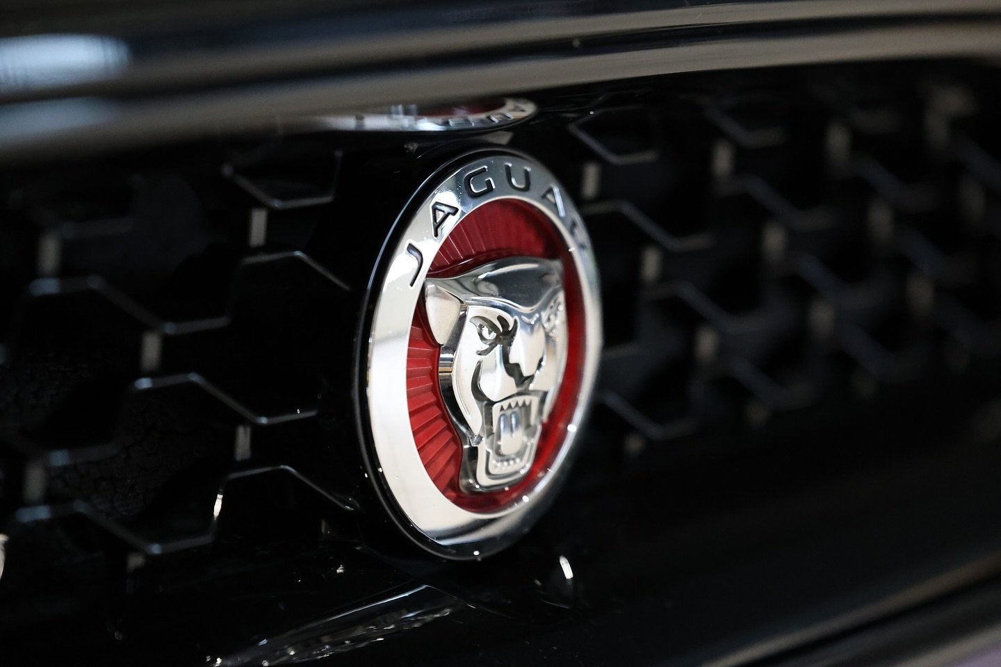 Détaillage complet sur cette magnifique Jaguar F-type R ✨