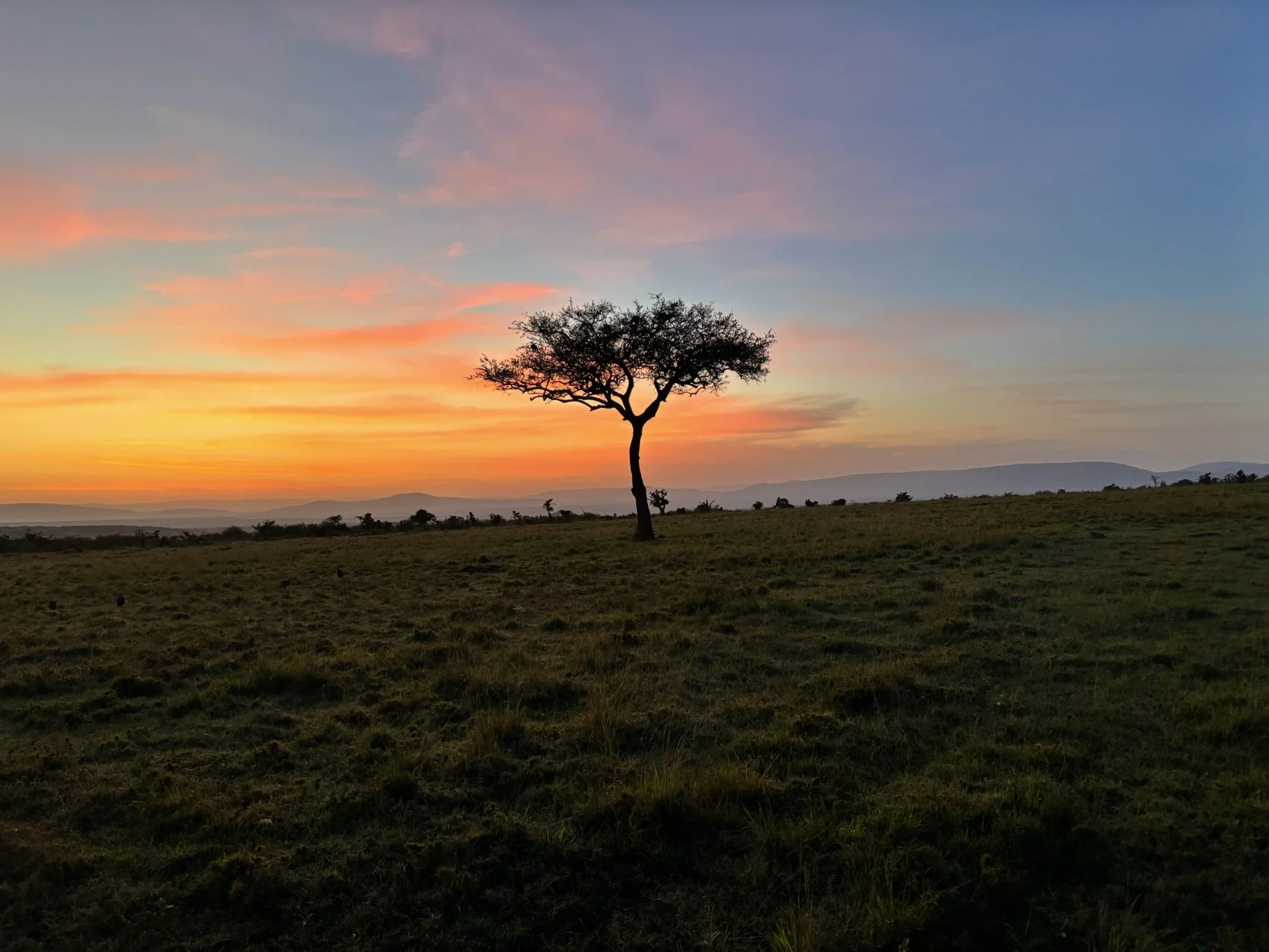 BANK TREASURERS OUT OF AFRICA