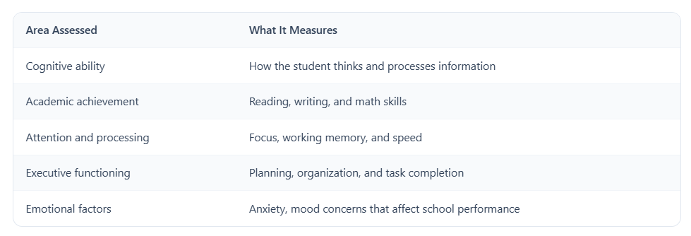 Psychoeducational evaluation areas assessed for college accommodations, including learning, attention, and executive functioning.