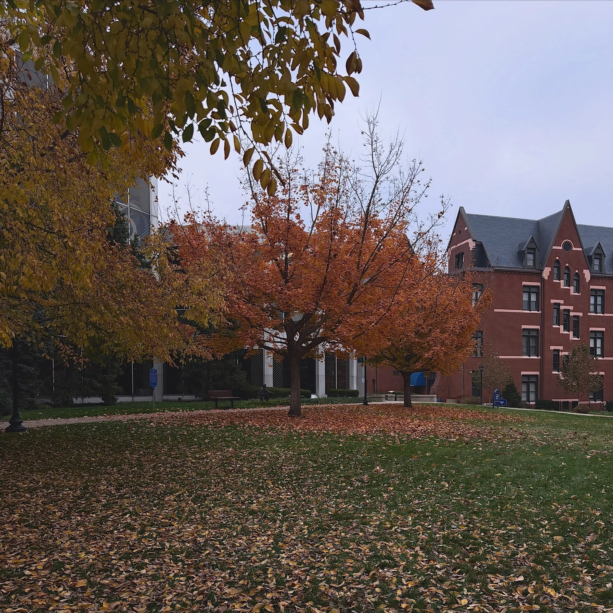 🍂 FALL INTO YOUR NEW HOME AT WEST PINE LOFTS!🏡✨

The Fall 27&ndash;28 lease term is just around the corner! Picture yourself settling into your new home, enjoying the autumn leaves, and taking a quick 5-minute walk to SLU.🍁

🏡 2-Bedrooms: Startin