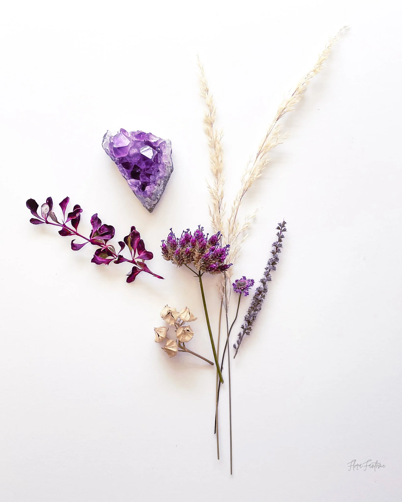CO Wildflowers Card Pack_Etsy Listing Photo_1-07.jpg