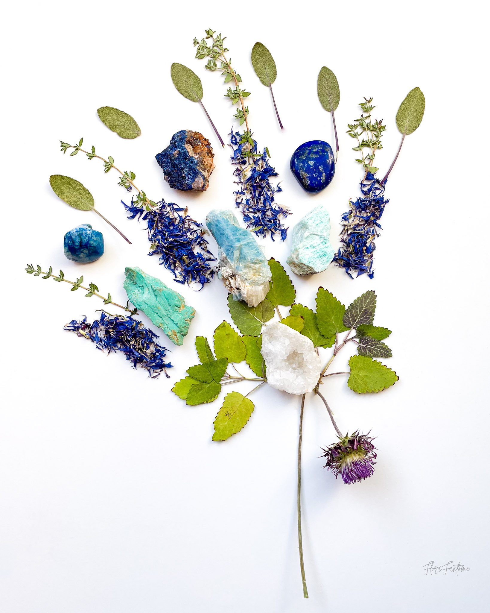 CO Wildflowers Card Pack_Etsy Listing Photo_1-48.jpg