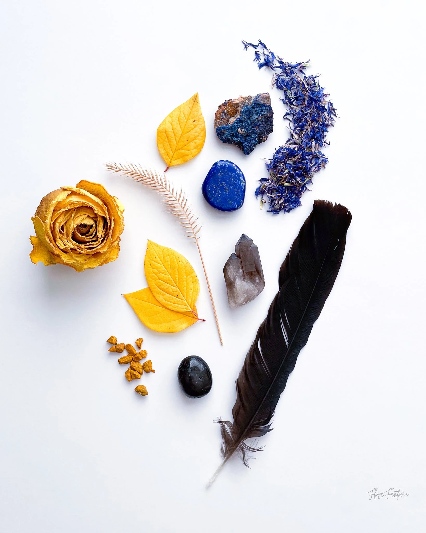 CO Wildflowers Card Pack_Etsy Listing Photo_1-13.jpg