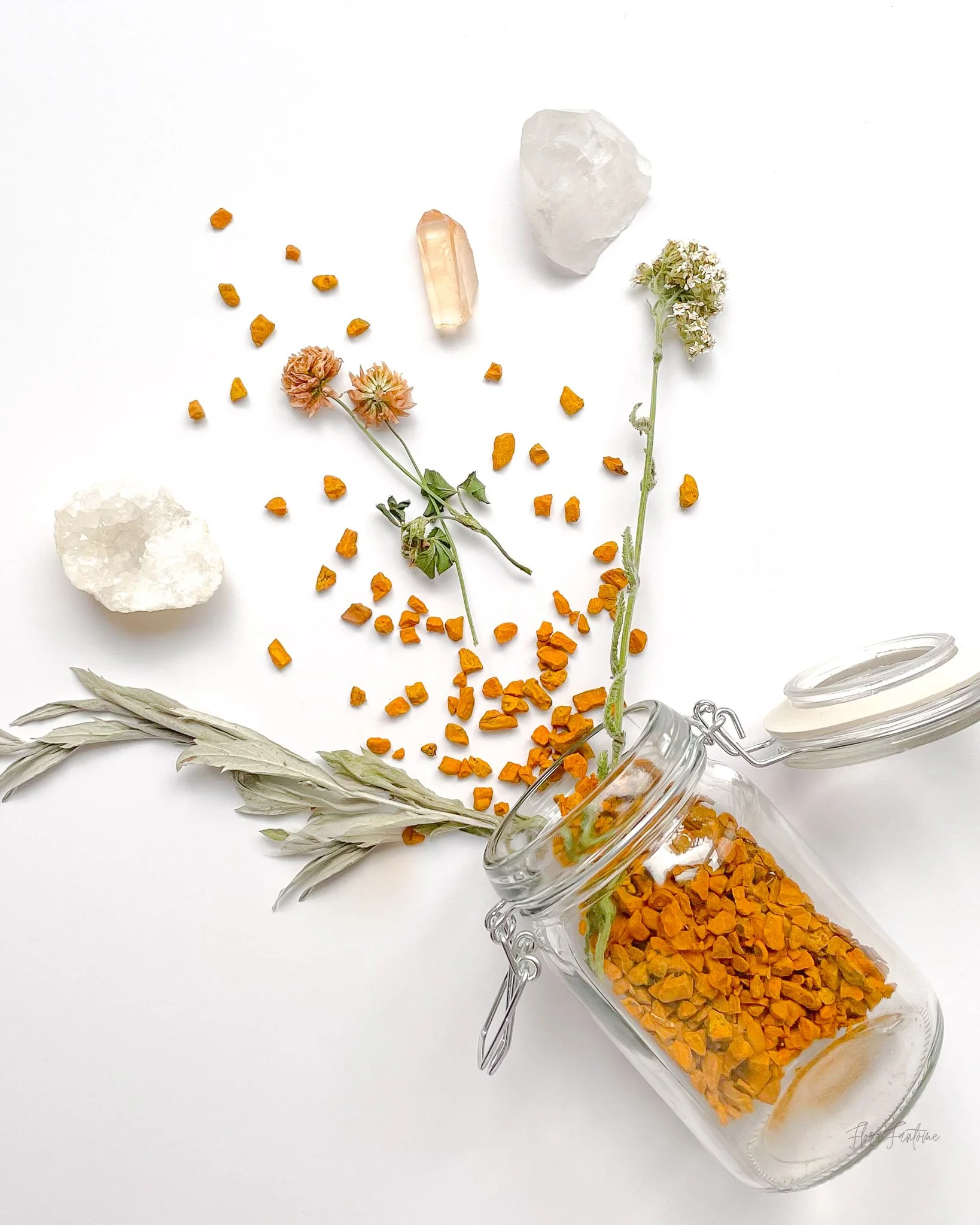 CO Wildflowers Card Pack_Etsy Listing Photo_1-27.jpg