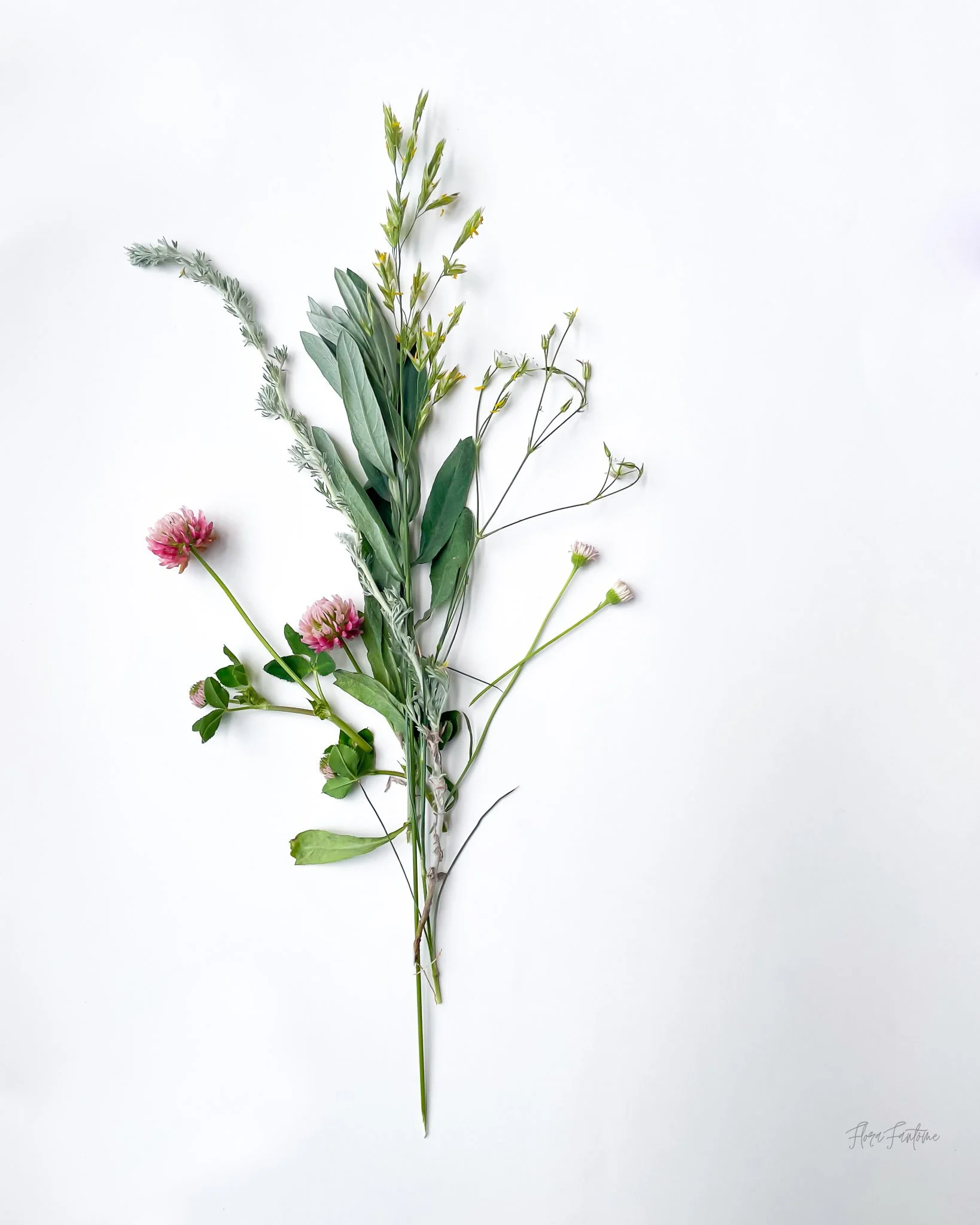 CO Wildflowers Card Pack_Etsy Listing Photo_1-24.jpg