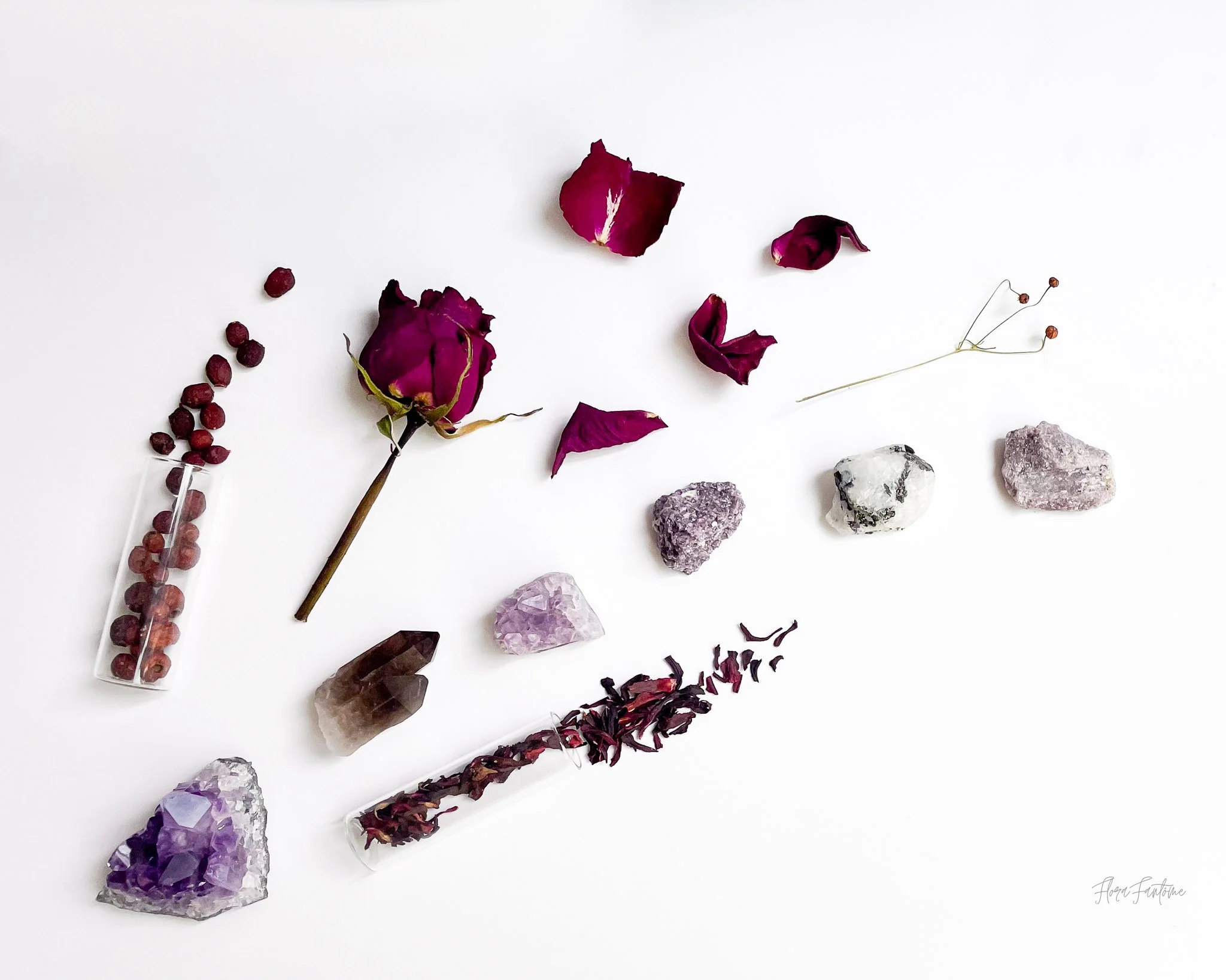 CO Wildflowers Card Pack_Etsy Listing Photo_1-41.jpg