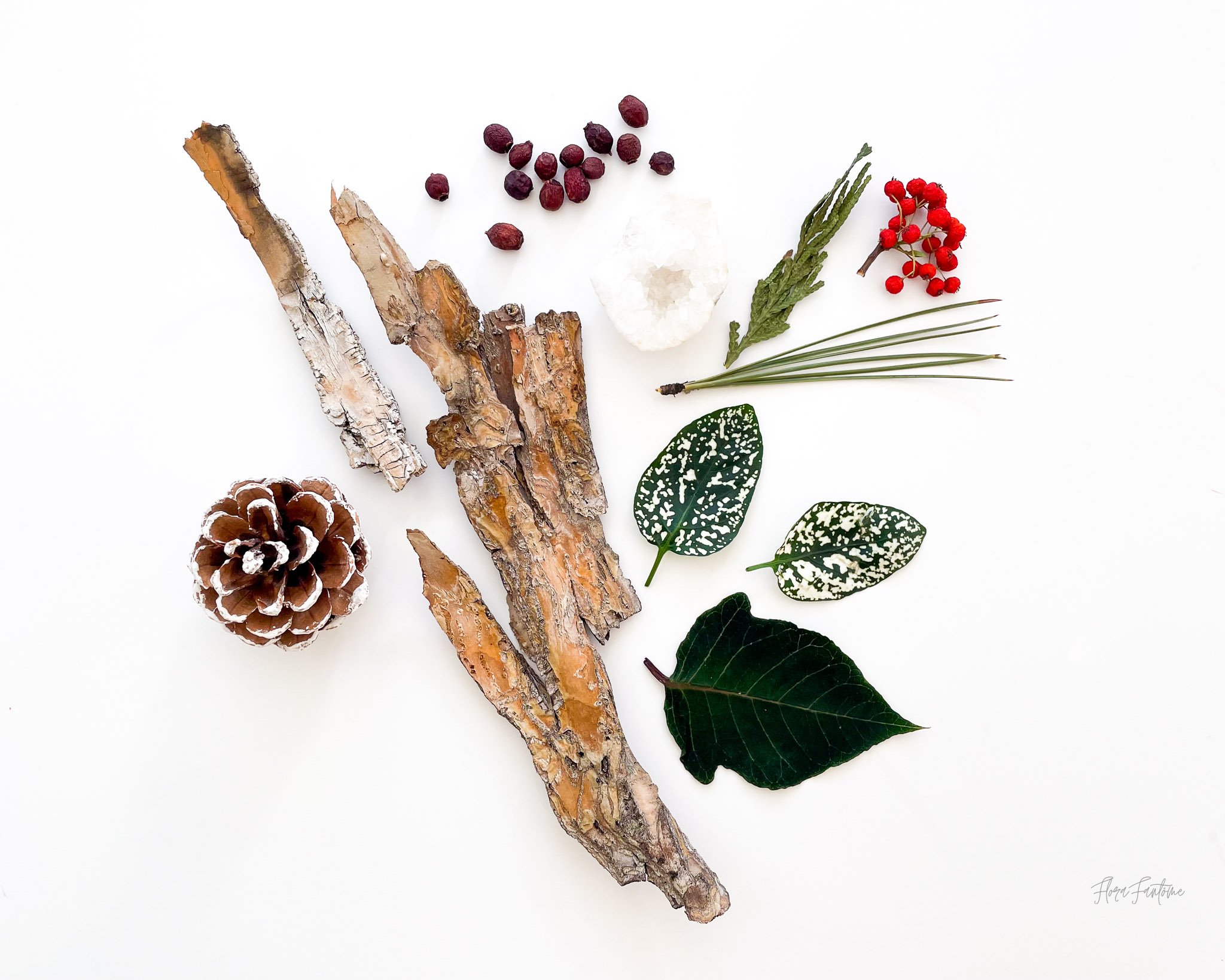 CO Wildflowers Card Pack_Etsy Listing Photo_1-20.jpg