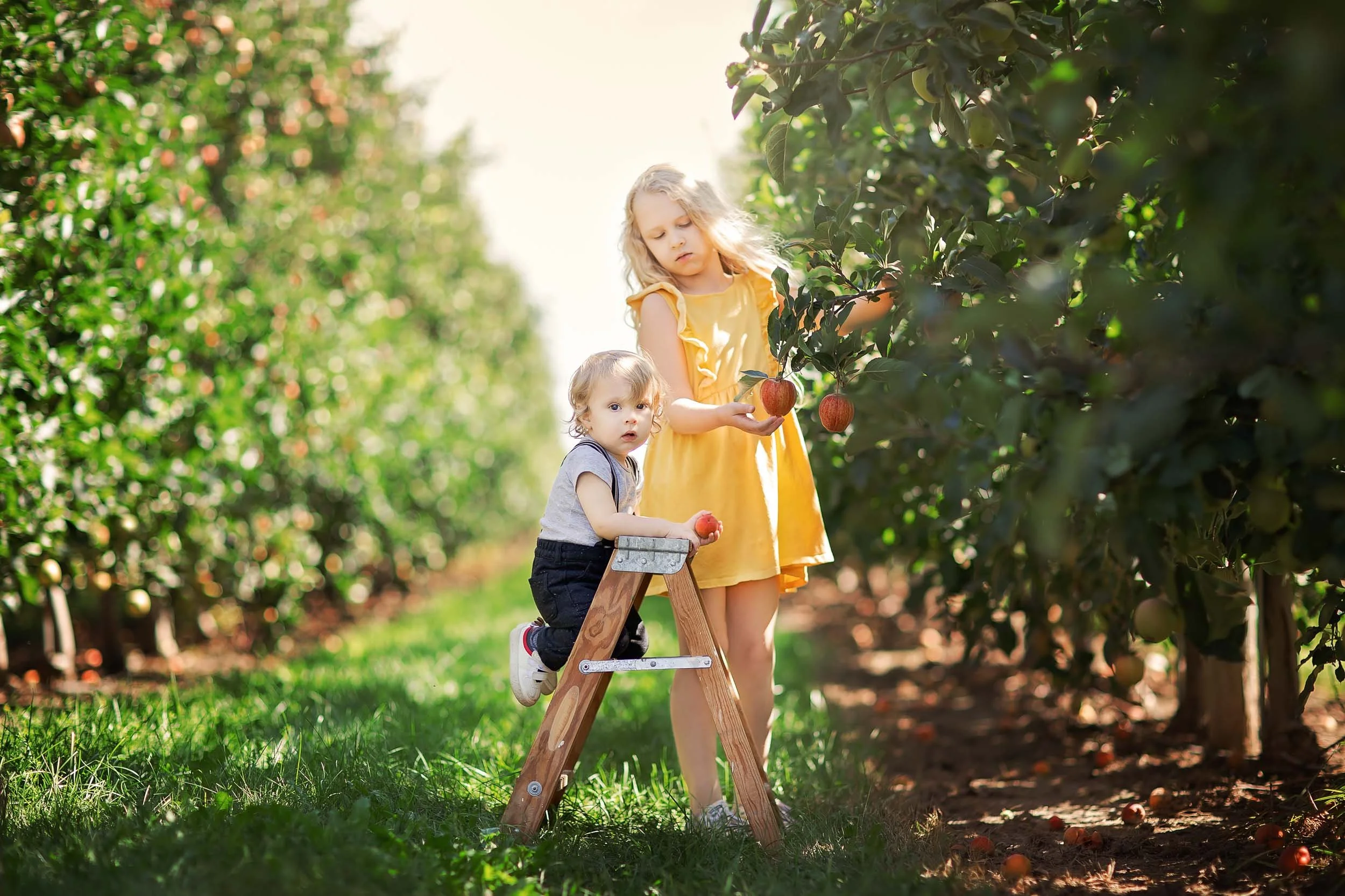 Brother and Sister Apple Orchard 