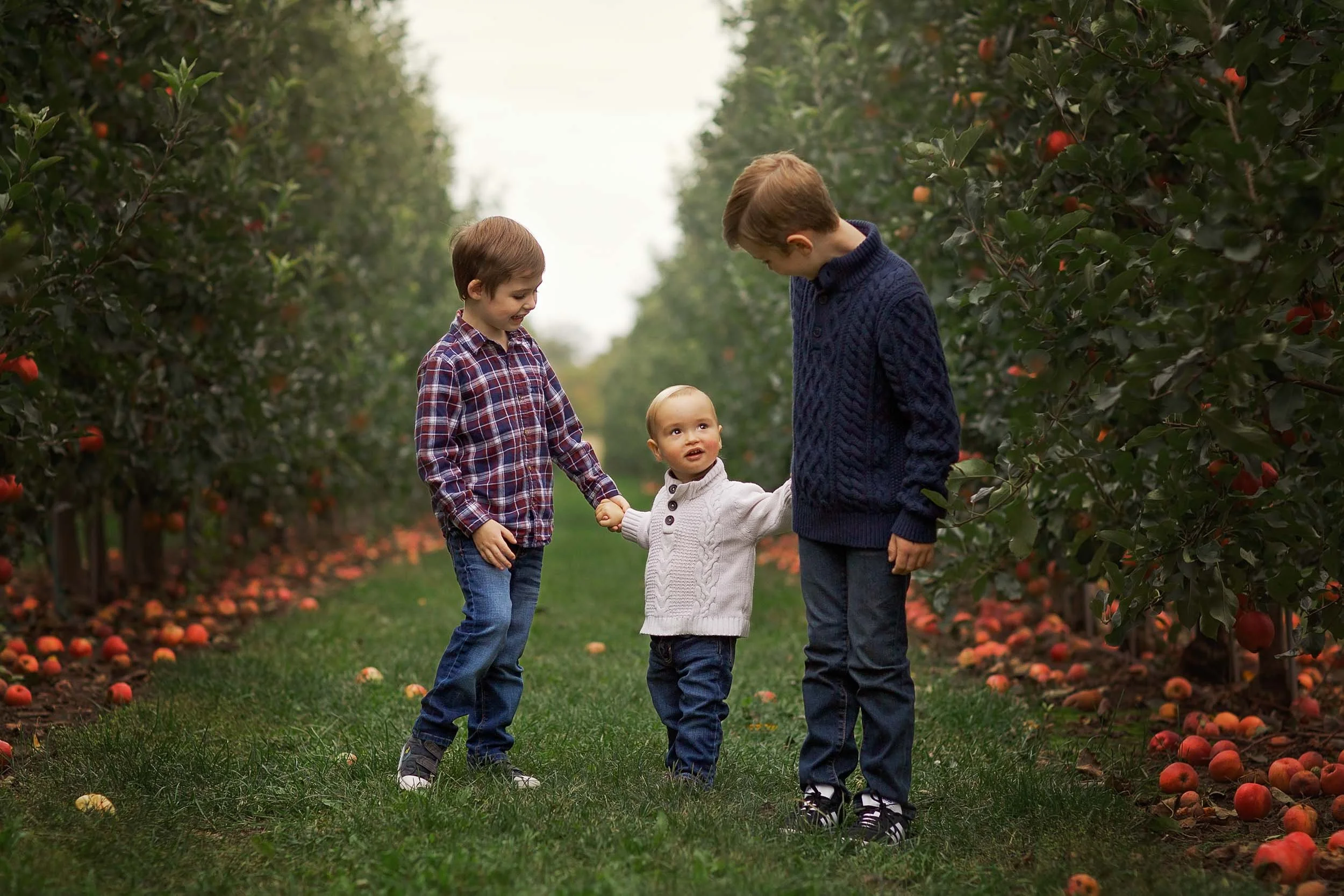 Apple Orchard Session