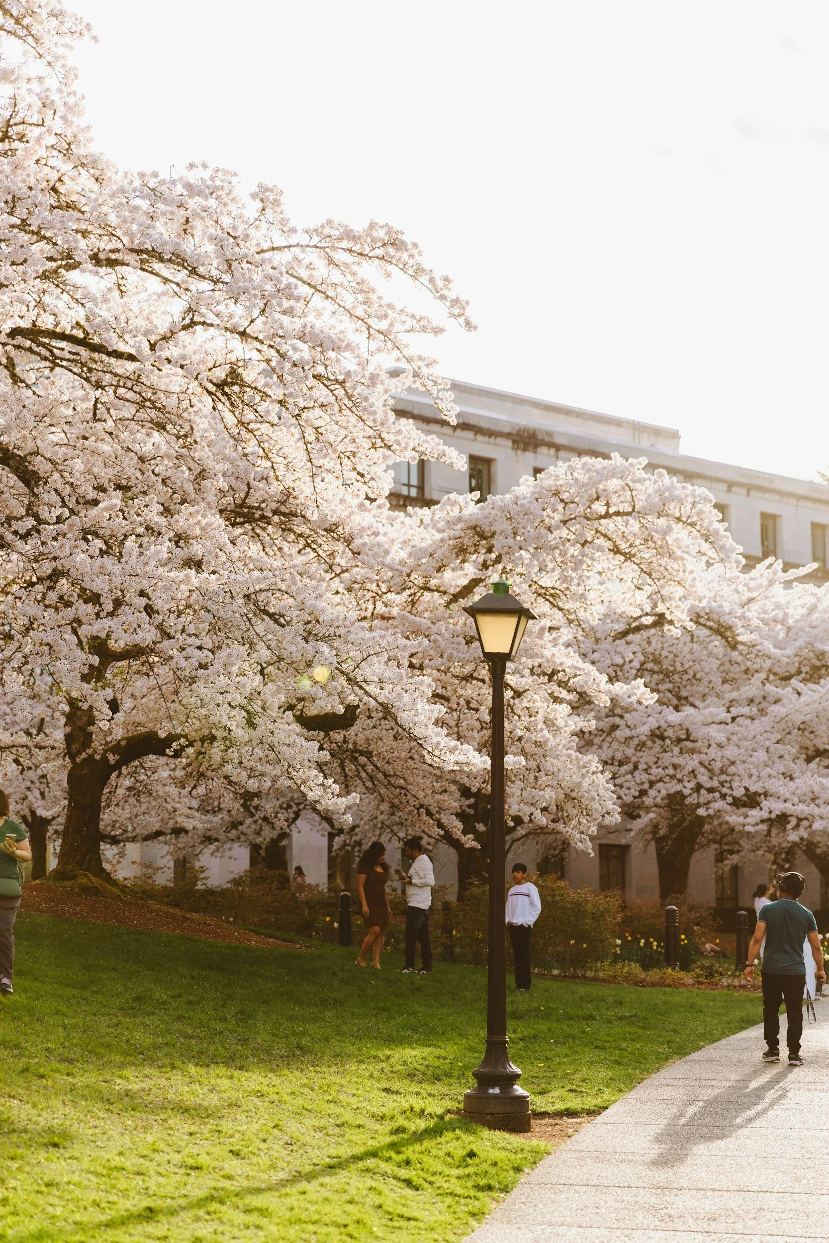 Legislative Pulse: What to Expect through the End of Session