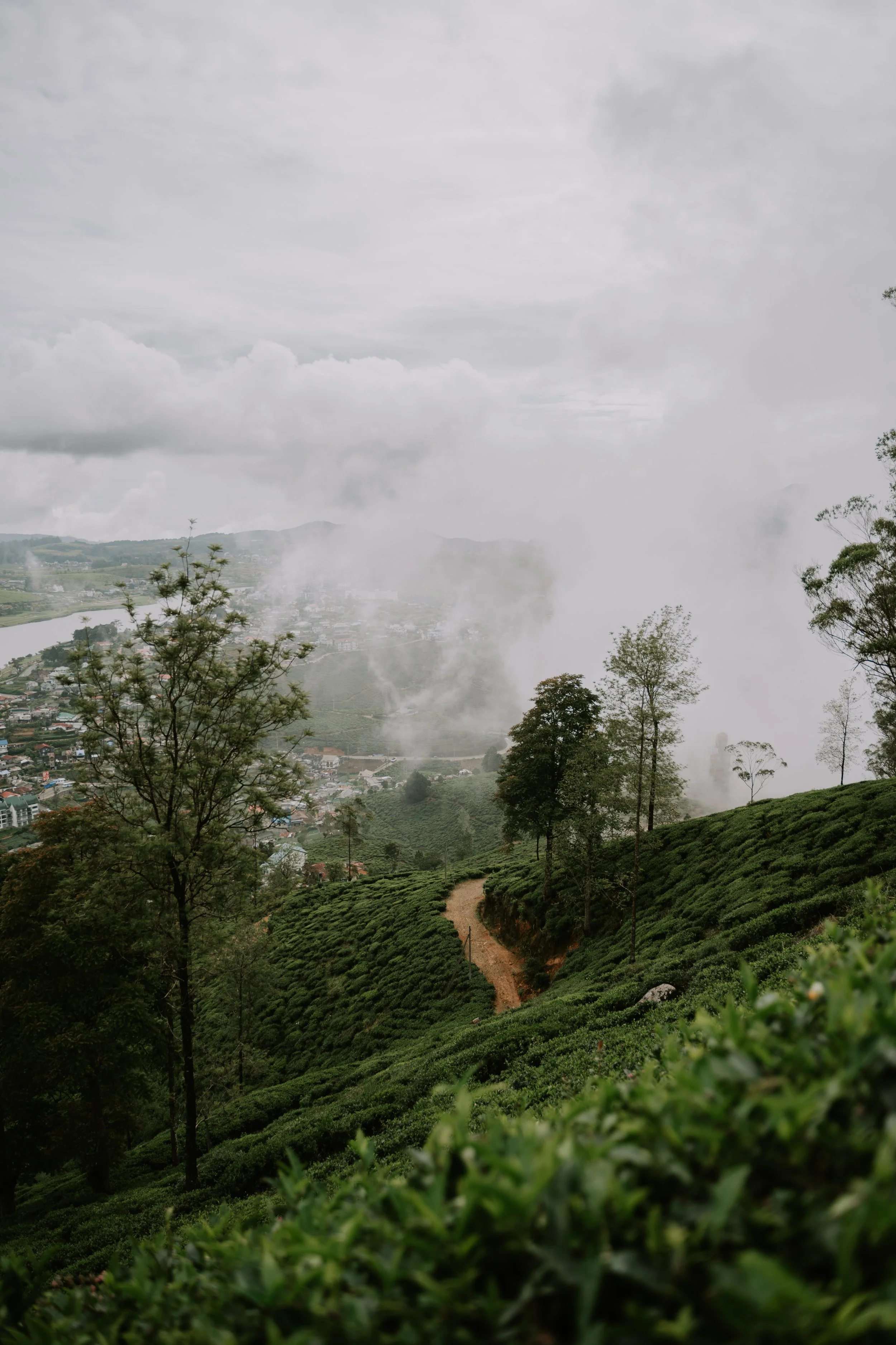 Little England, Big Buffet