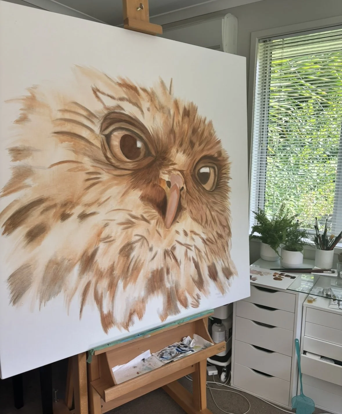 Morepork3.jpg