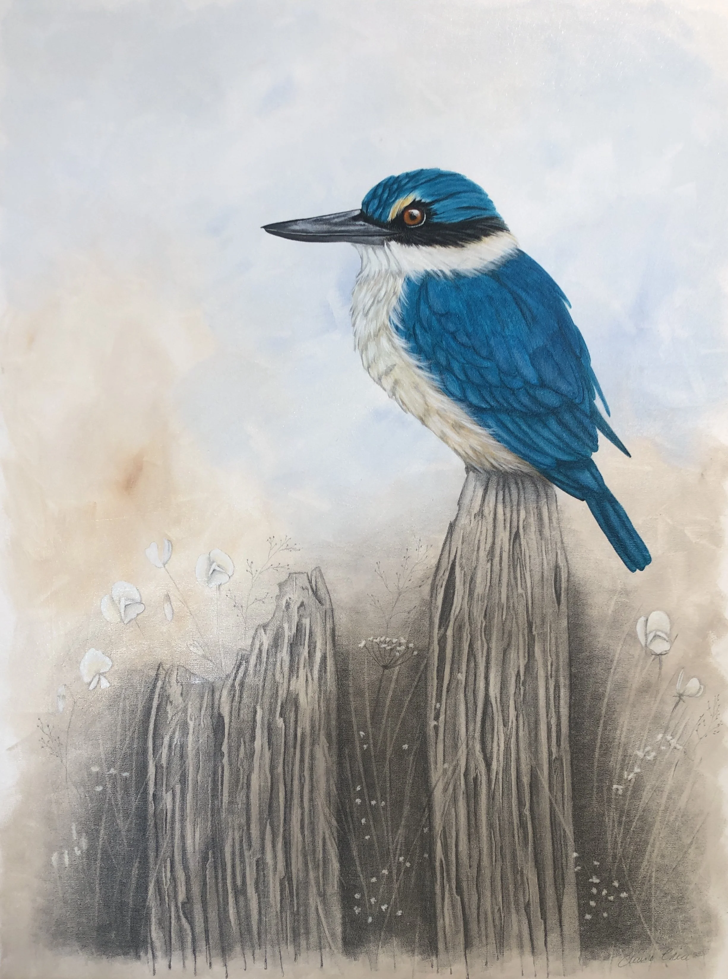 Perched 1020x760mm 4200 1.JPG