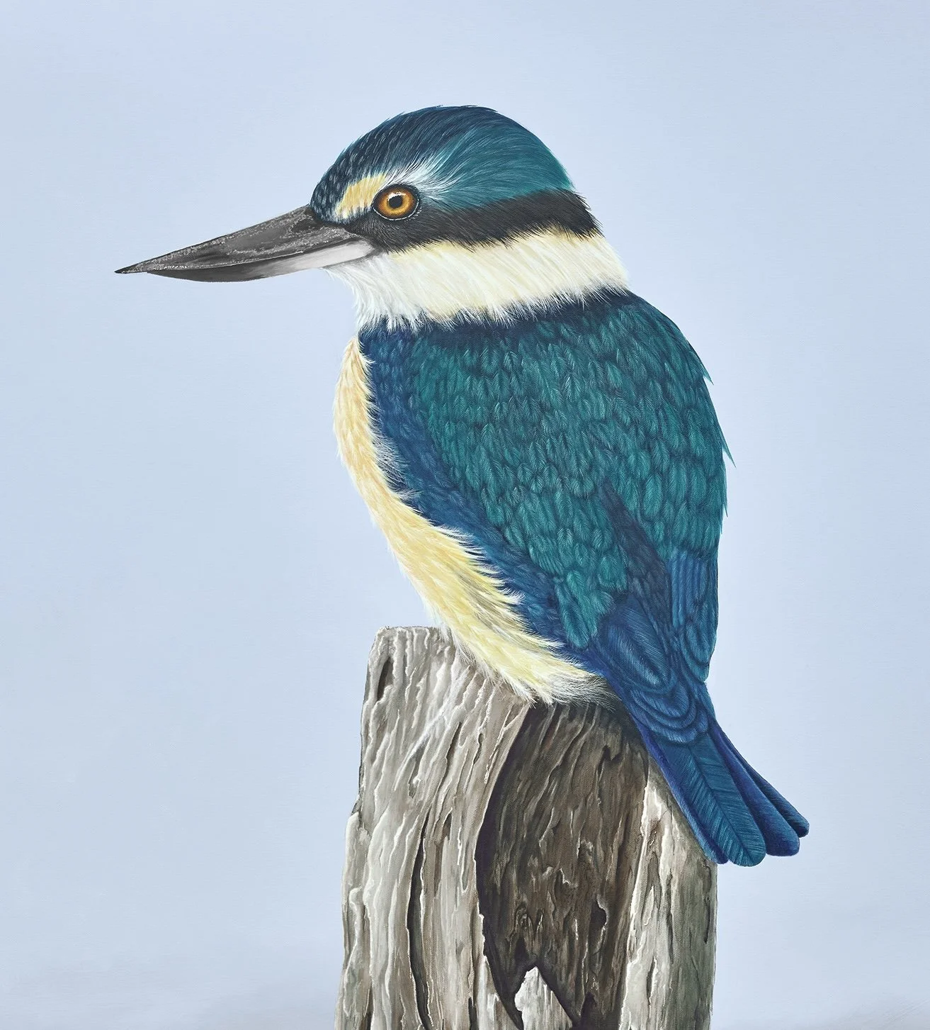 King of Serenity 2.jpg