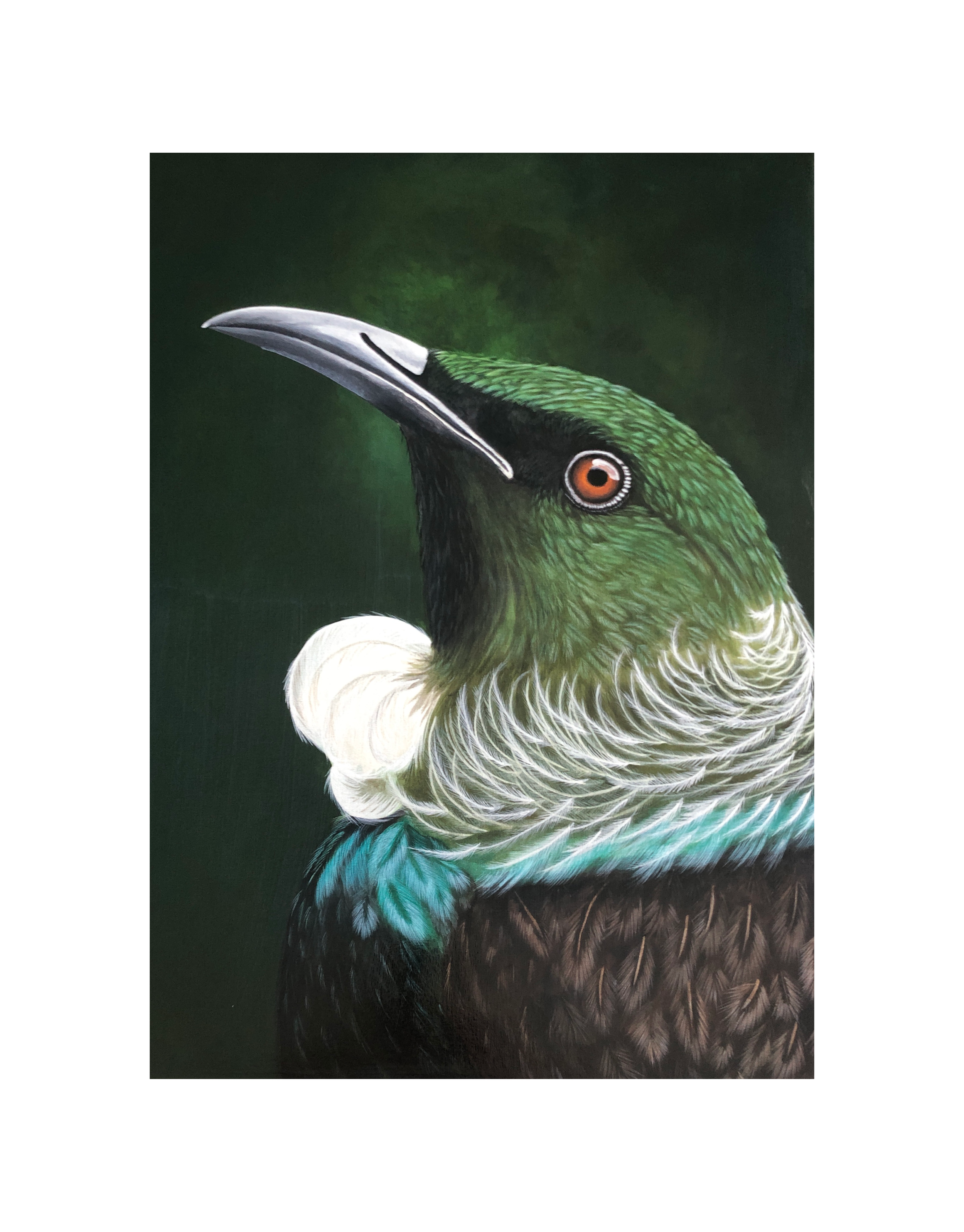 Hope Tui 8 Canvas increase.png