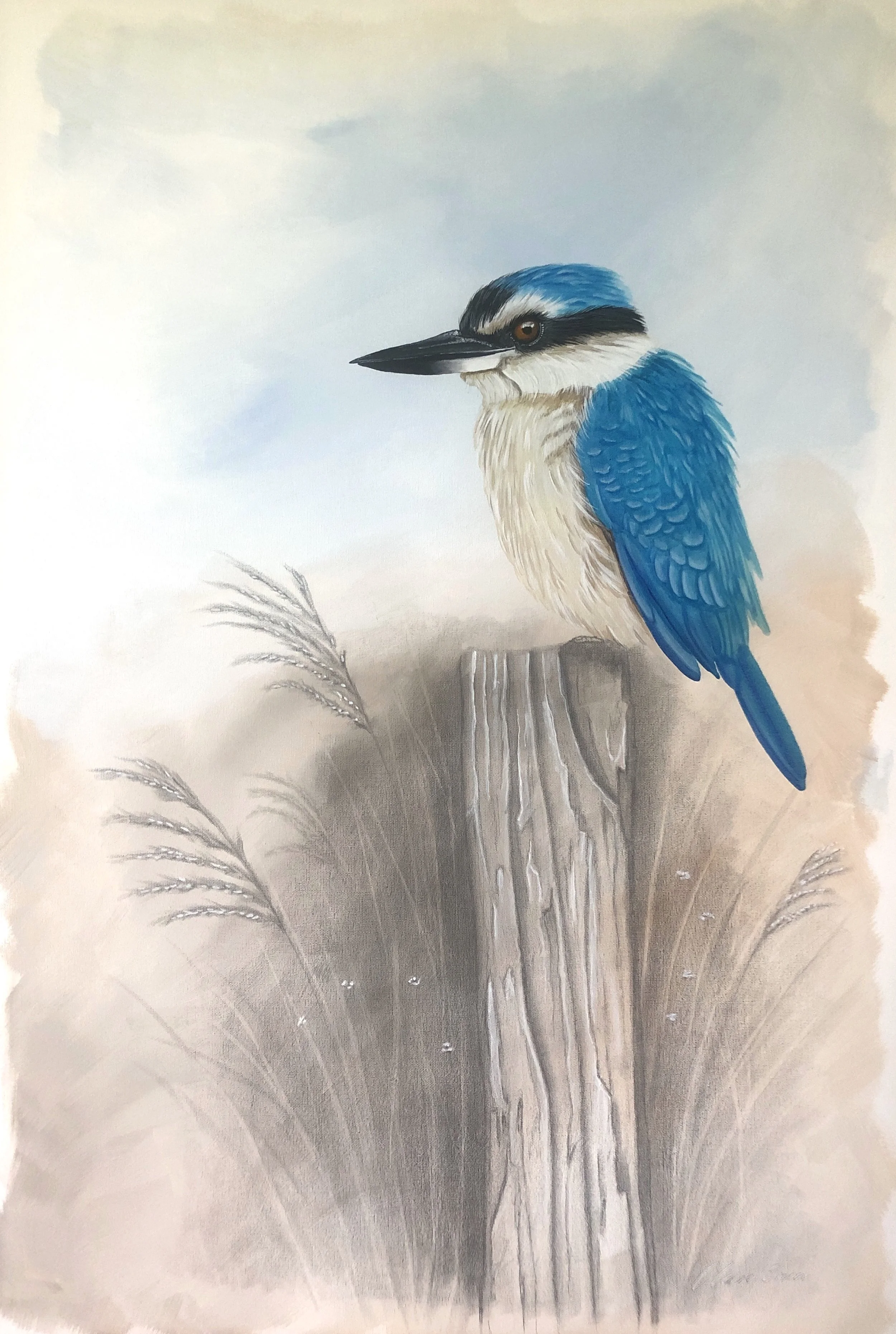 Perched the Kingfisher 762 x 609mm 21251.JPG