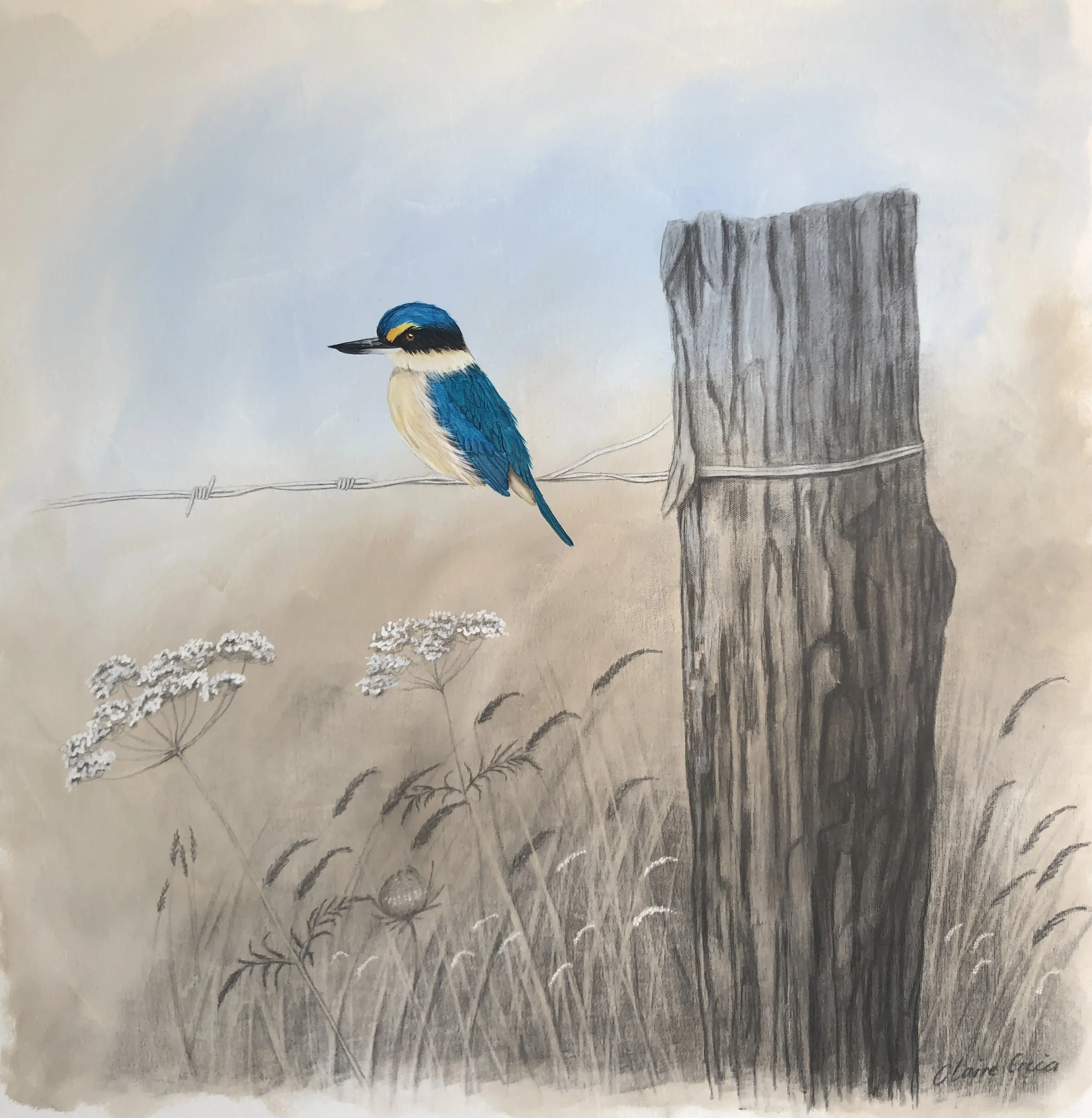 On the fence 762 x 762mm 32002.JPG