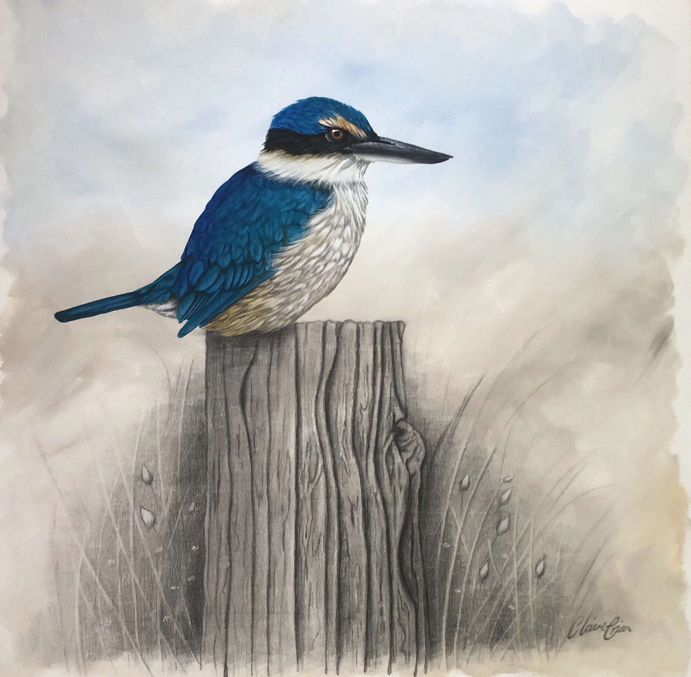 Watching 763 x 760mm 1.JPG