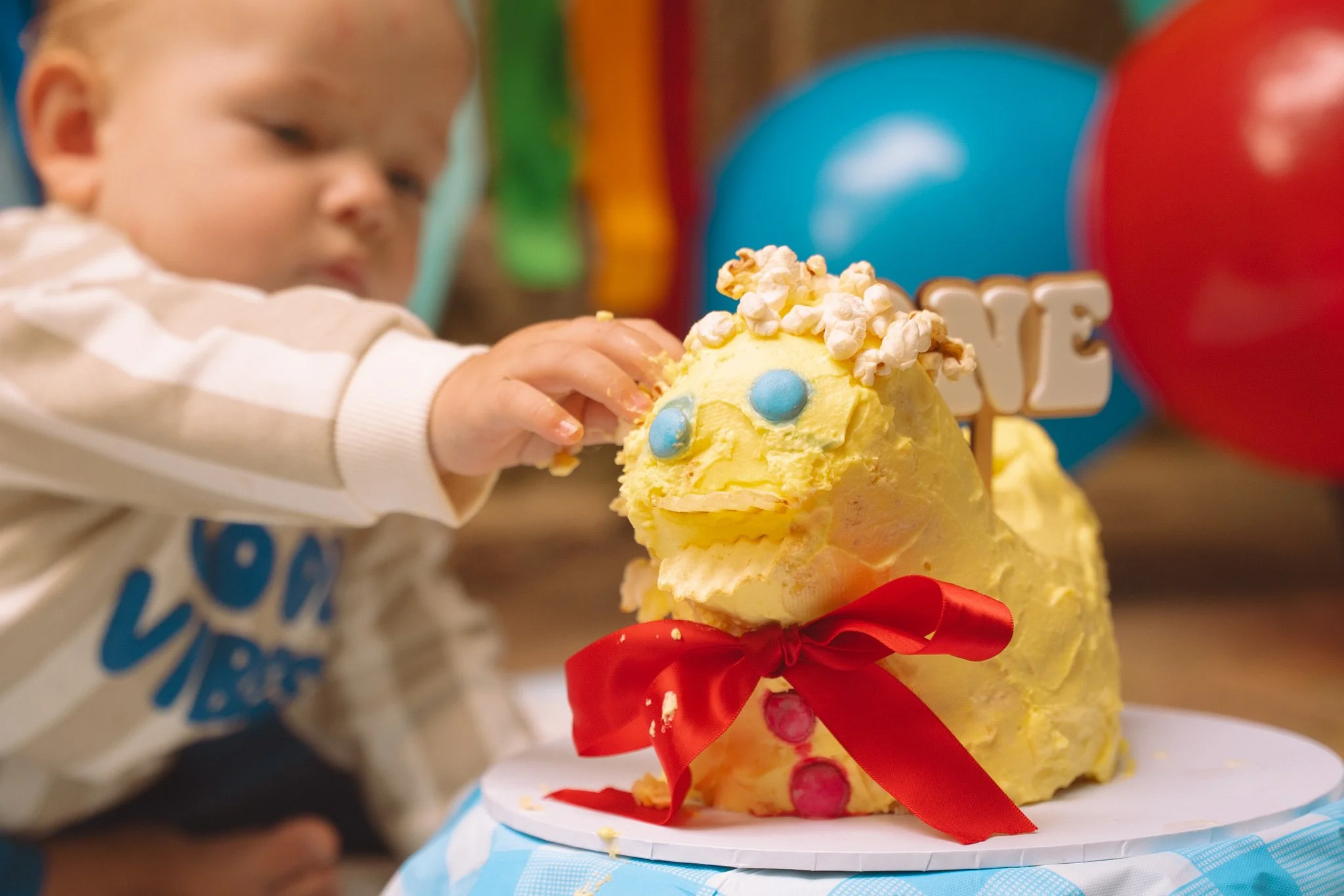 Duck Cake Cake Smash