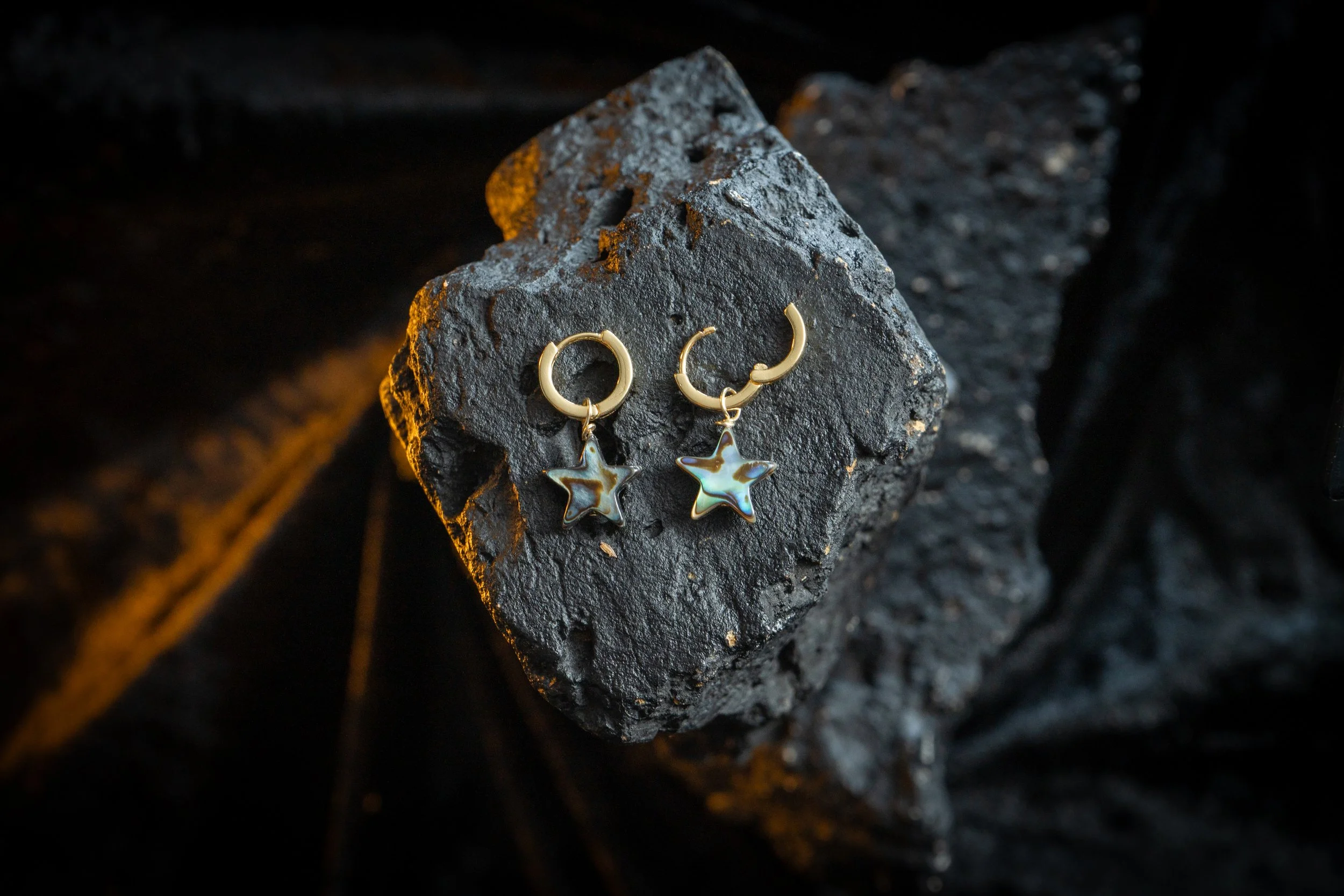 EAR105B.jpg