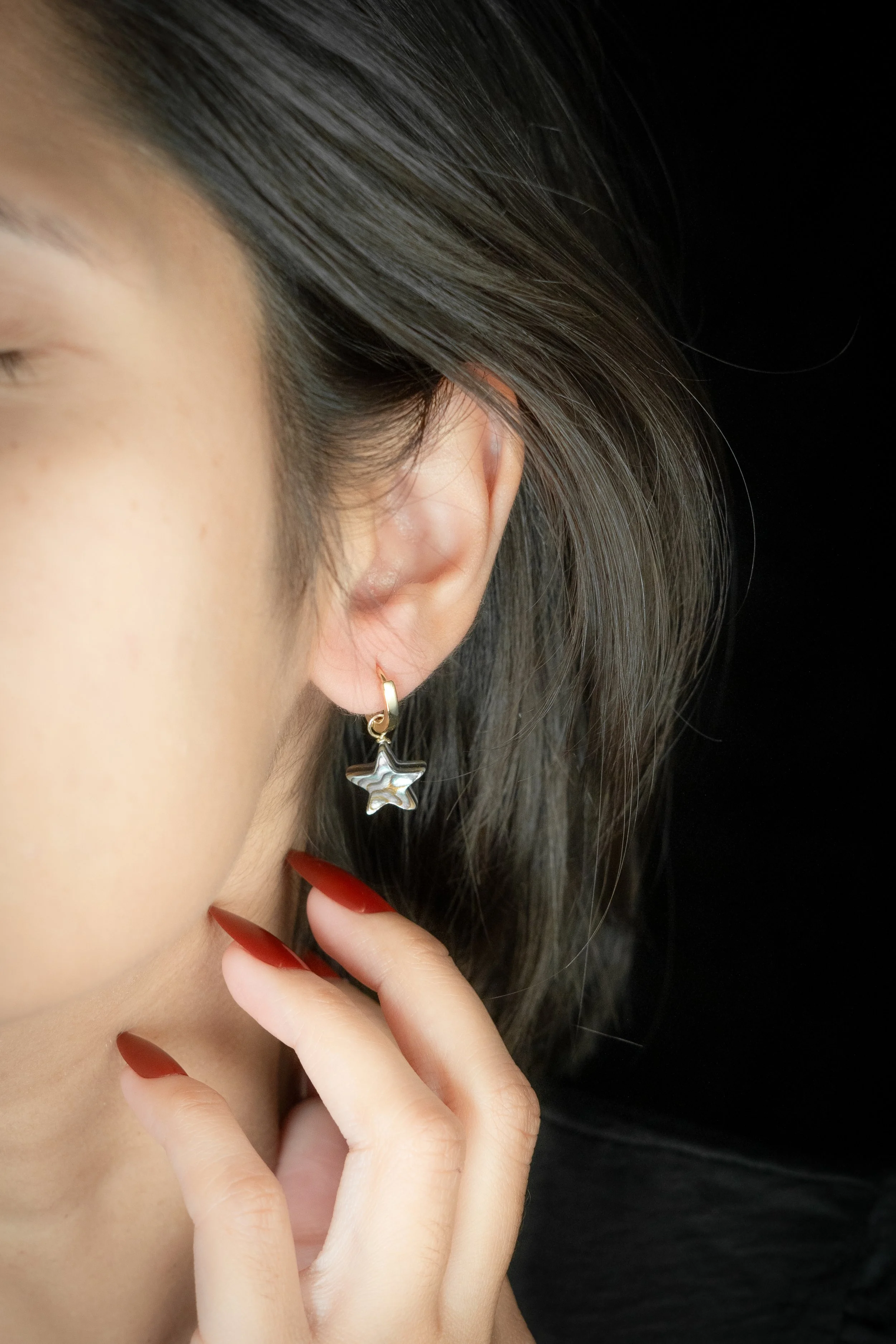 ear103b abalone Earring.jpg
