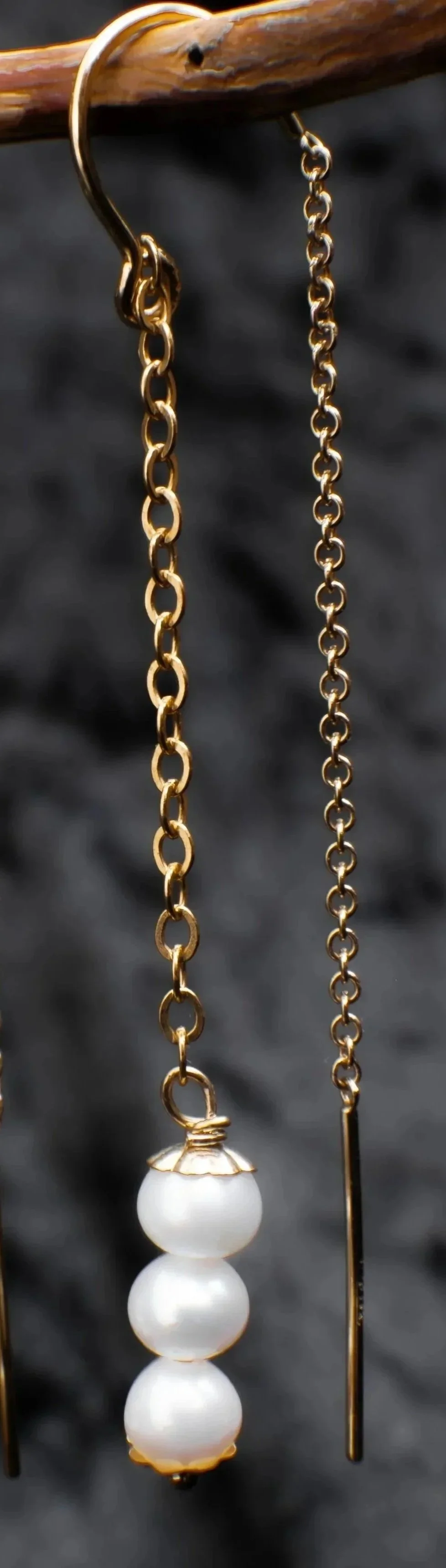 EAR090ii.jpg