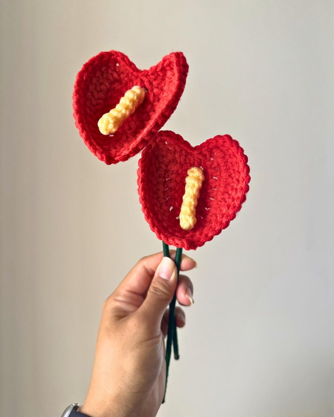 Anthurium