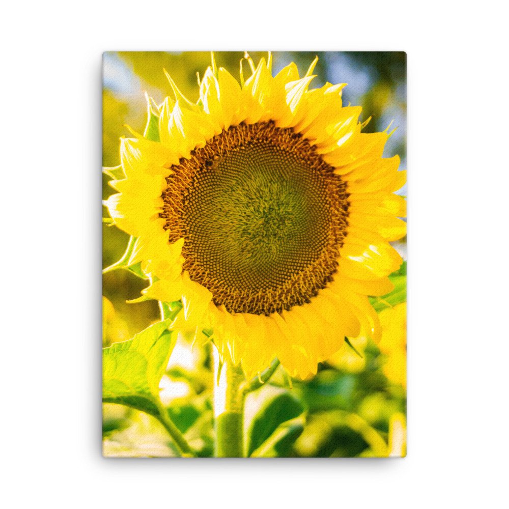 canvas-(in)-18x24-wall-654af0c5eb921.jpg