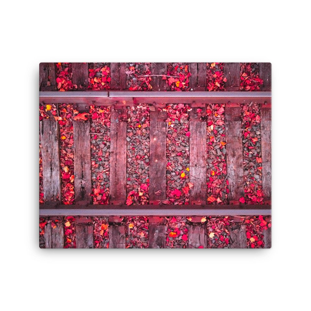 canvas-(in)-16x20-wall-655ebf41b17c5.jpg