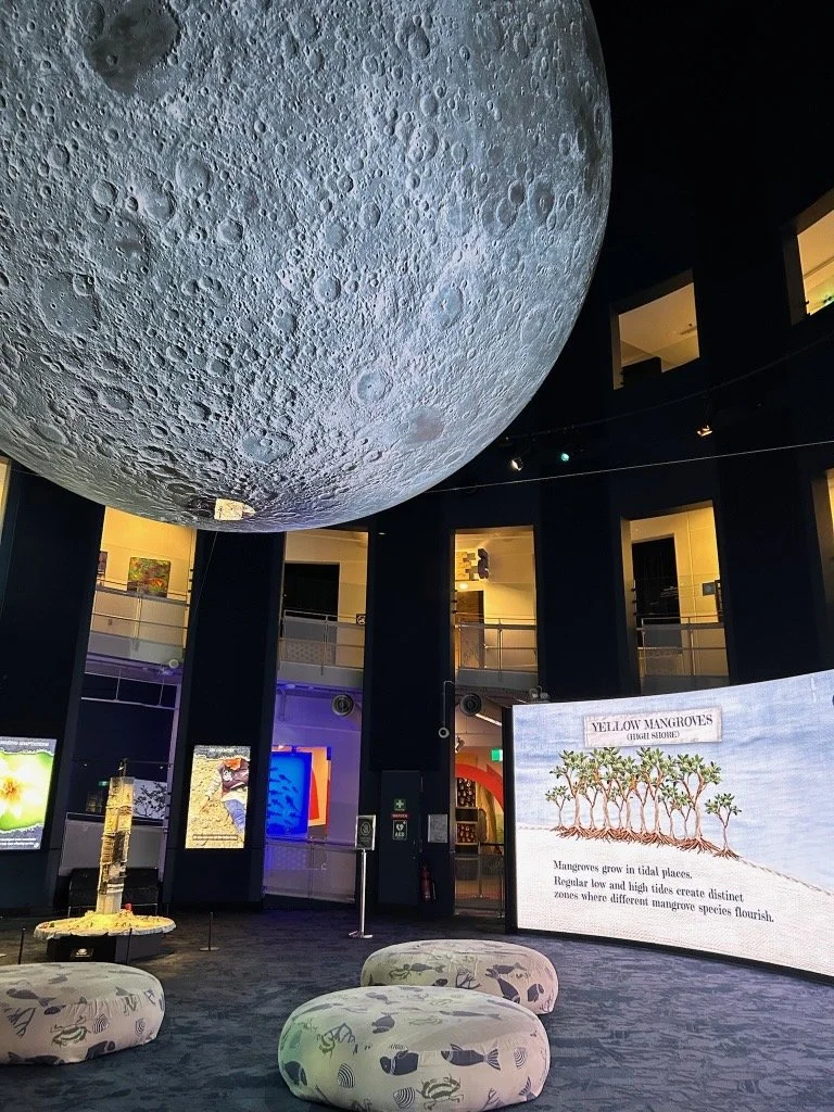 HANDS-ON LEARNING EXPERIENCES THAT INSPIRE FUTURE INNOVATORS