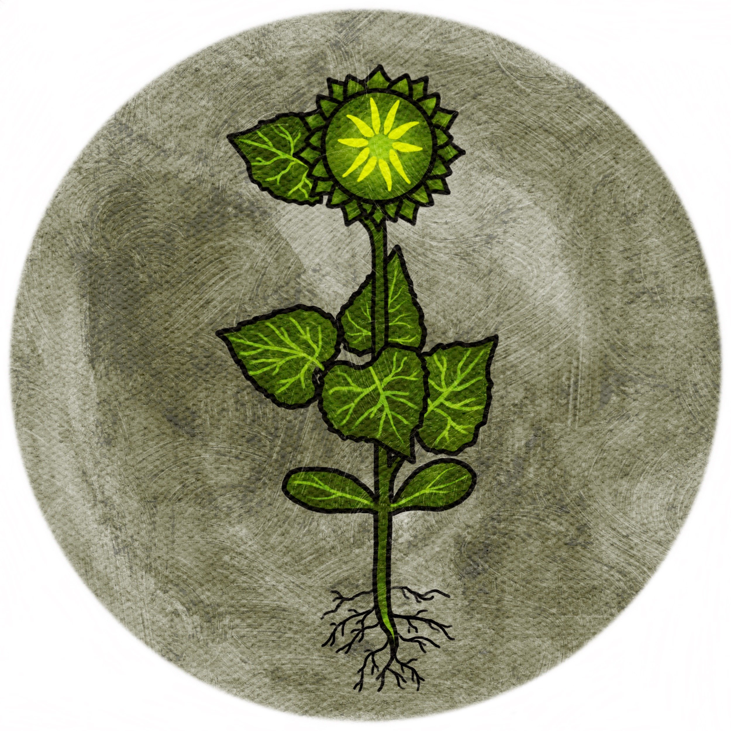 Swirly_Canvas 1 (1).JPG