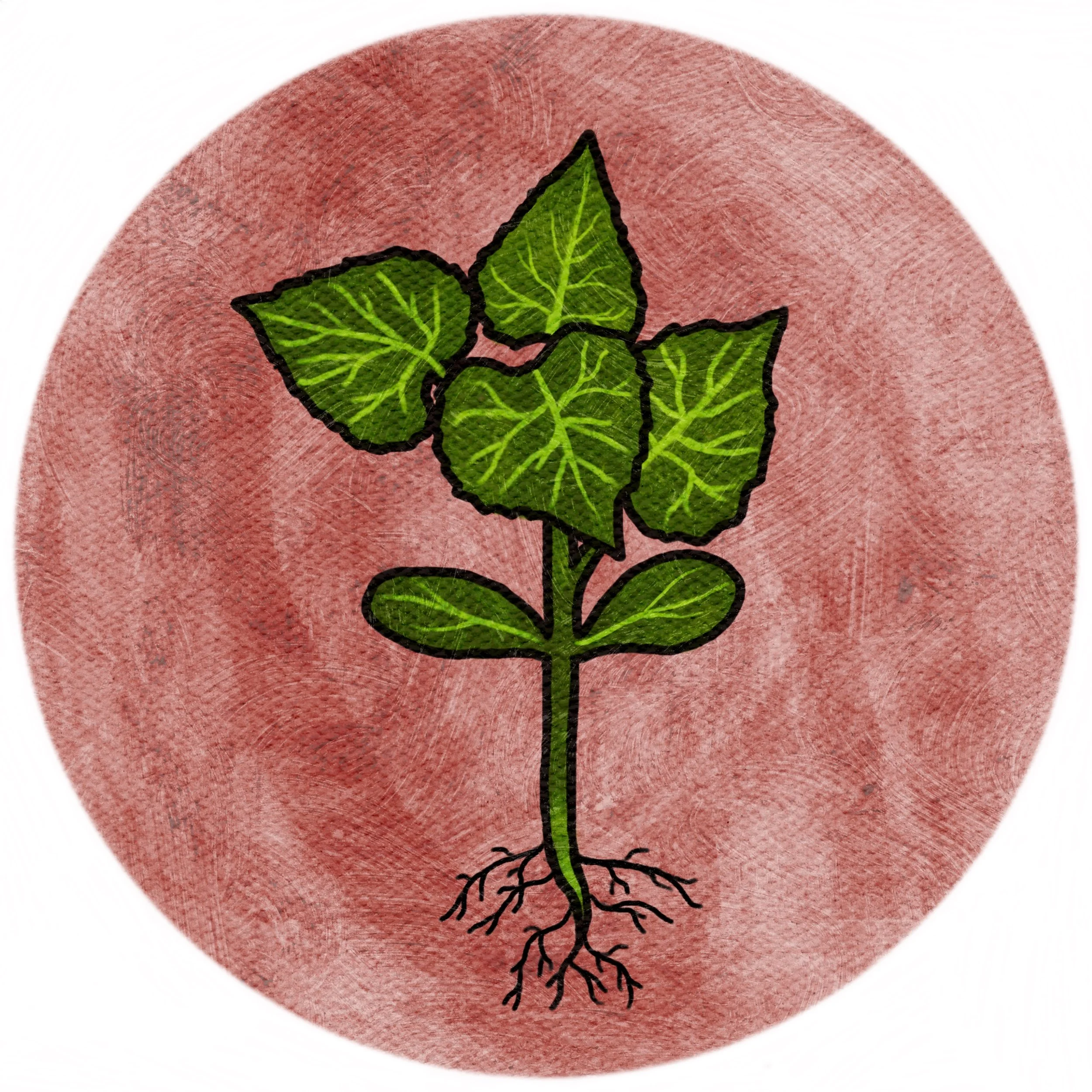 Swirly_Canvas (1).JPG