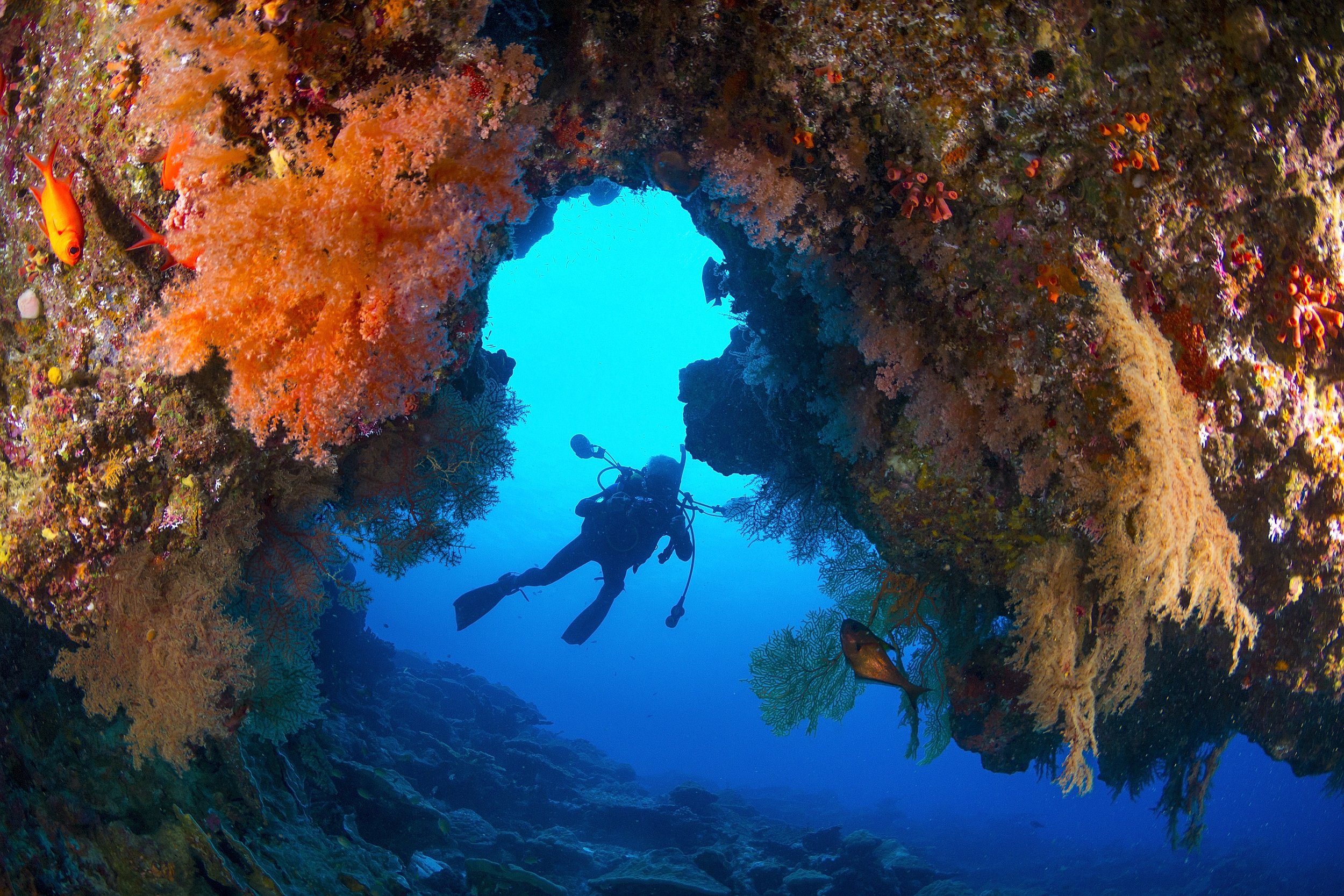 DIVING PACKAGES