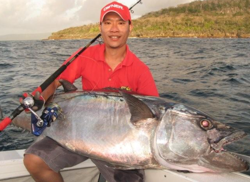 Dogtooth Tuna - Gymnosarda Unicolor