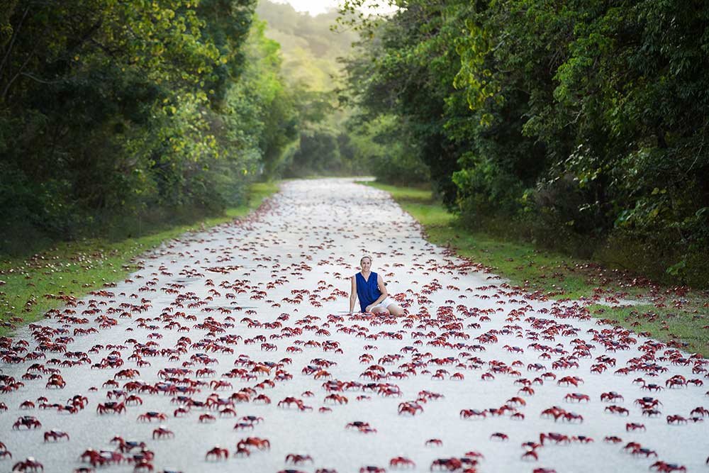 RED CRAB SPAWNING TOUR | 7 NIGHT PACKAGE