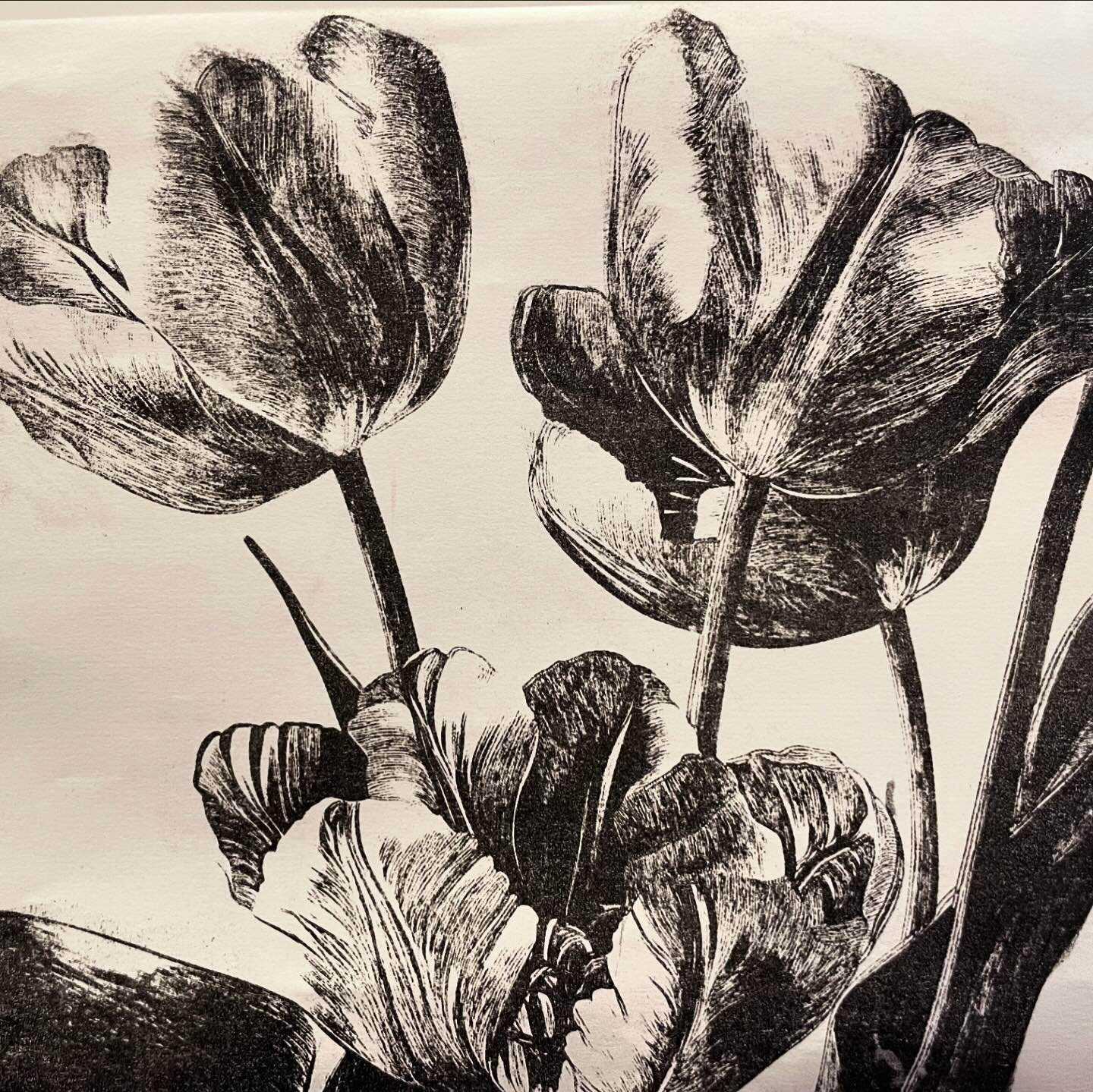I made the #gelliplate do something! This is an image transfer using a double printed laser copy from officeworks and some block printing ink. They don&rsquo;t lie, those gelli image transfers aren&rsquo;t easy 😅. I&rsquo;m working on a tulip print 