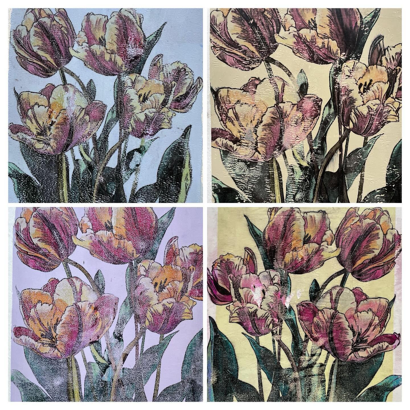 For every one that succeeds, there are several that fail... 

I've been working on getting the #gelliplate to do what I want for a series of tulip prints for Floriade season in Canberra. Here's what the finished product doesn't look like 😆

Gelli pr
